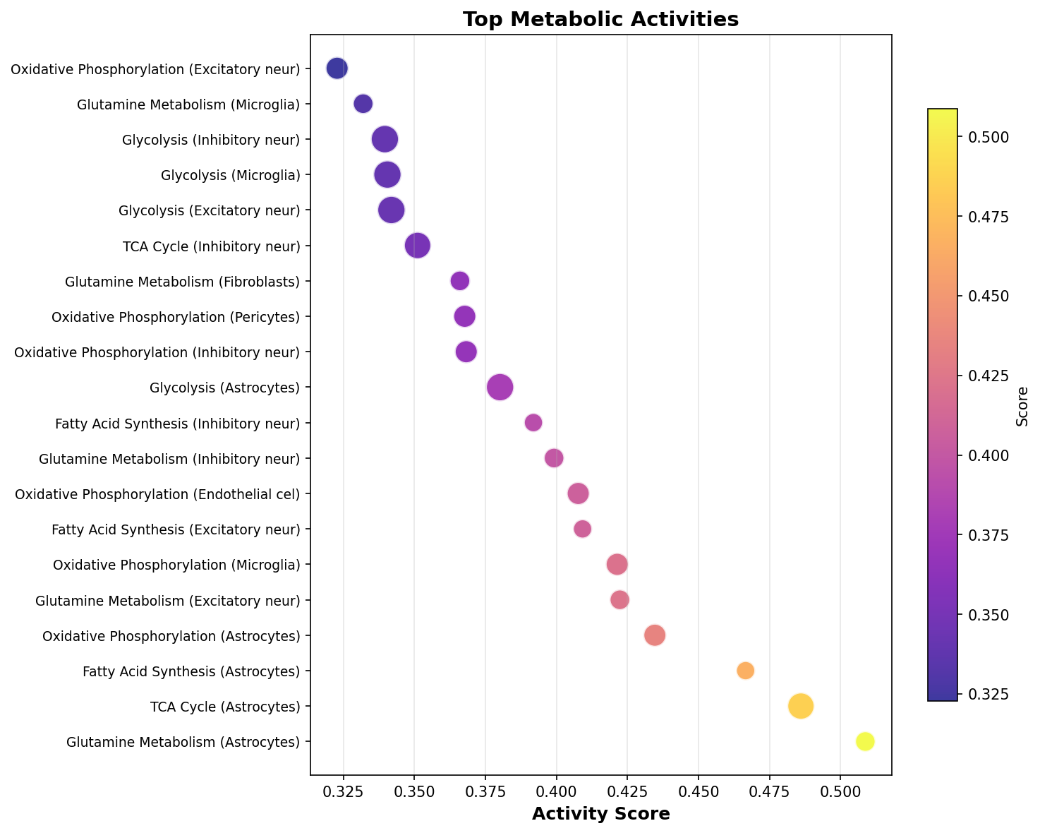 Top Metabolic Activities