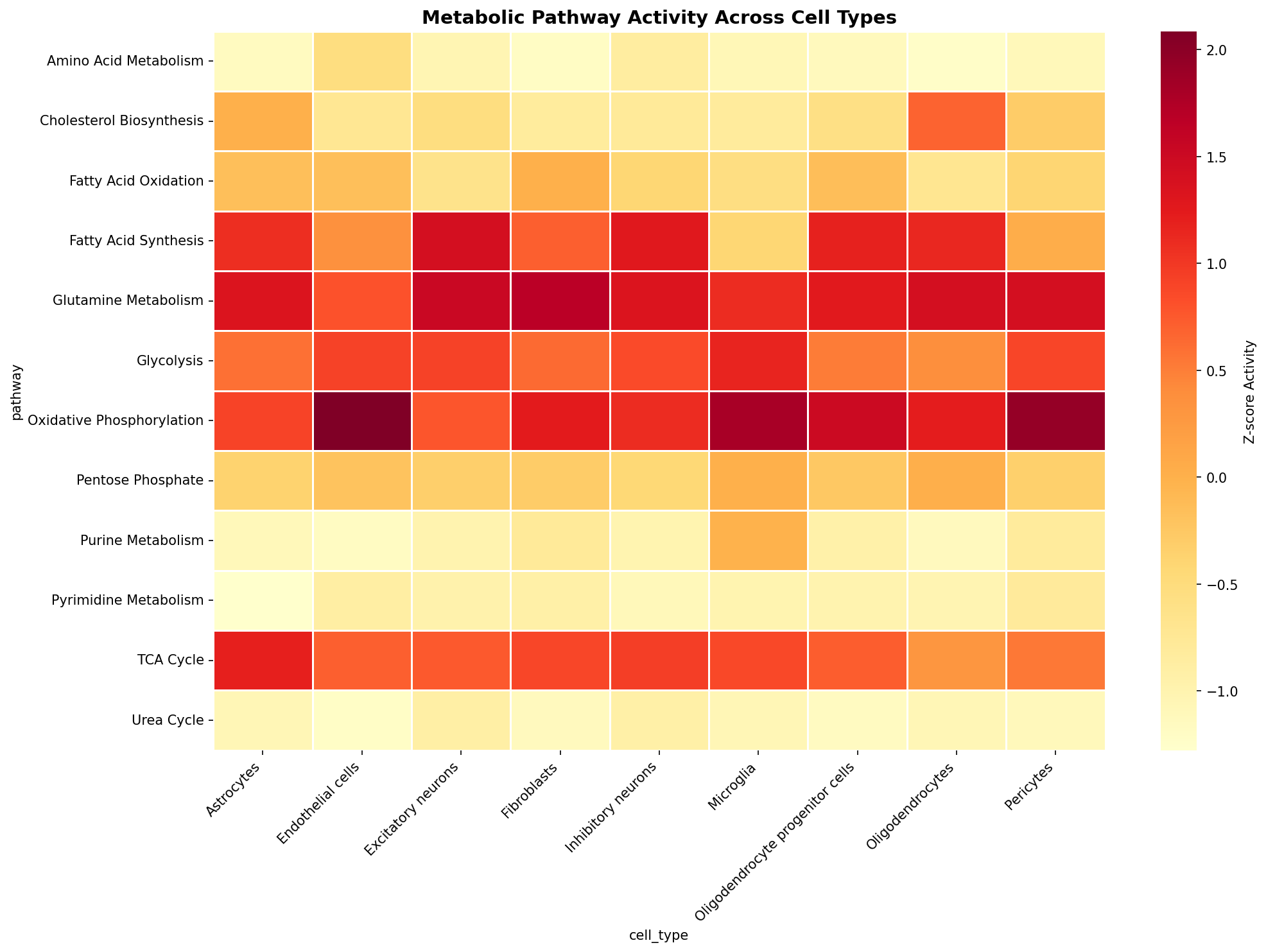 Metabolic Pathway Heatmap