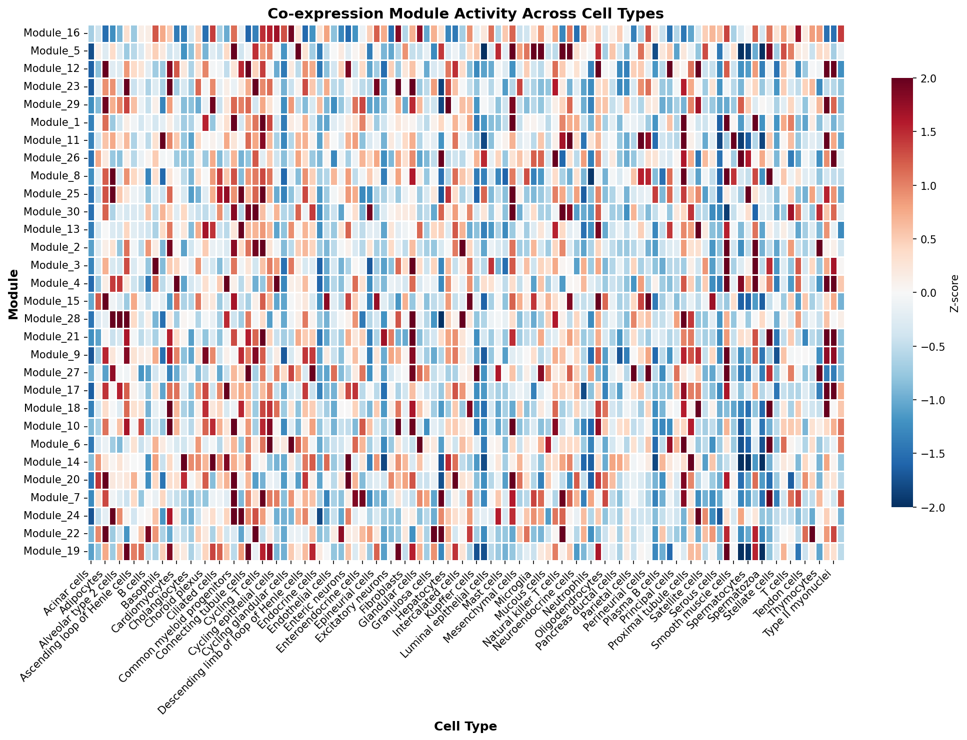 Module-Cell Type Association