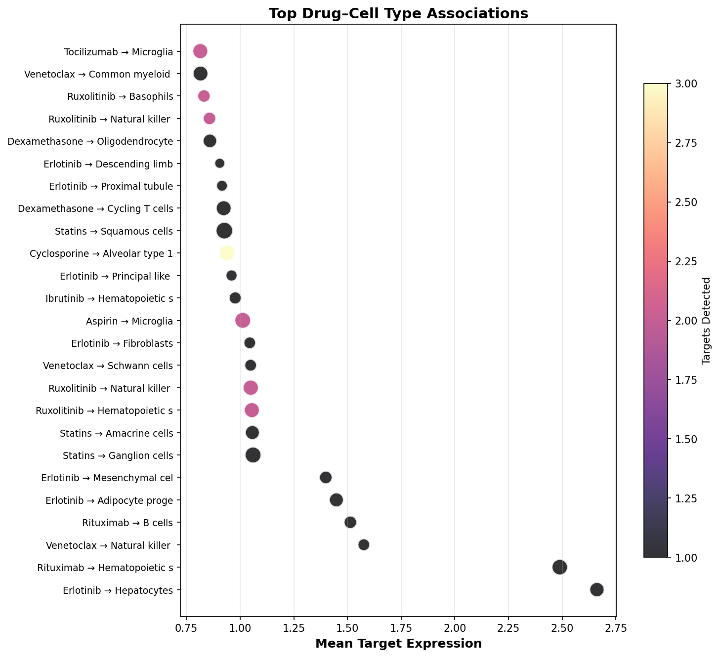 Top Drug–Cell Type Associations
