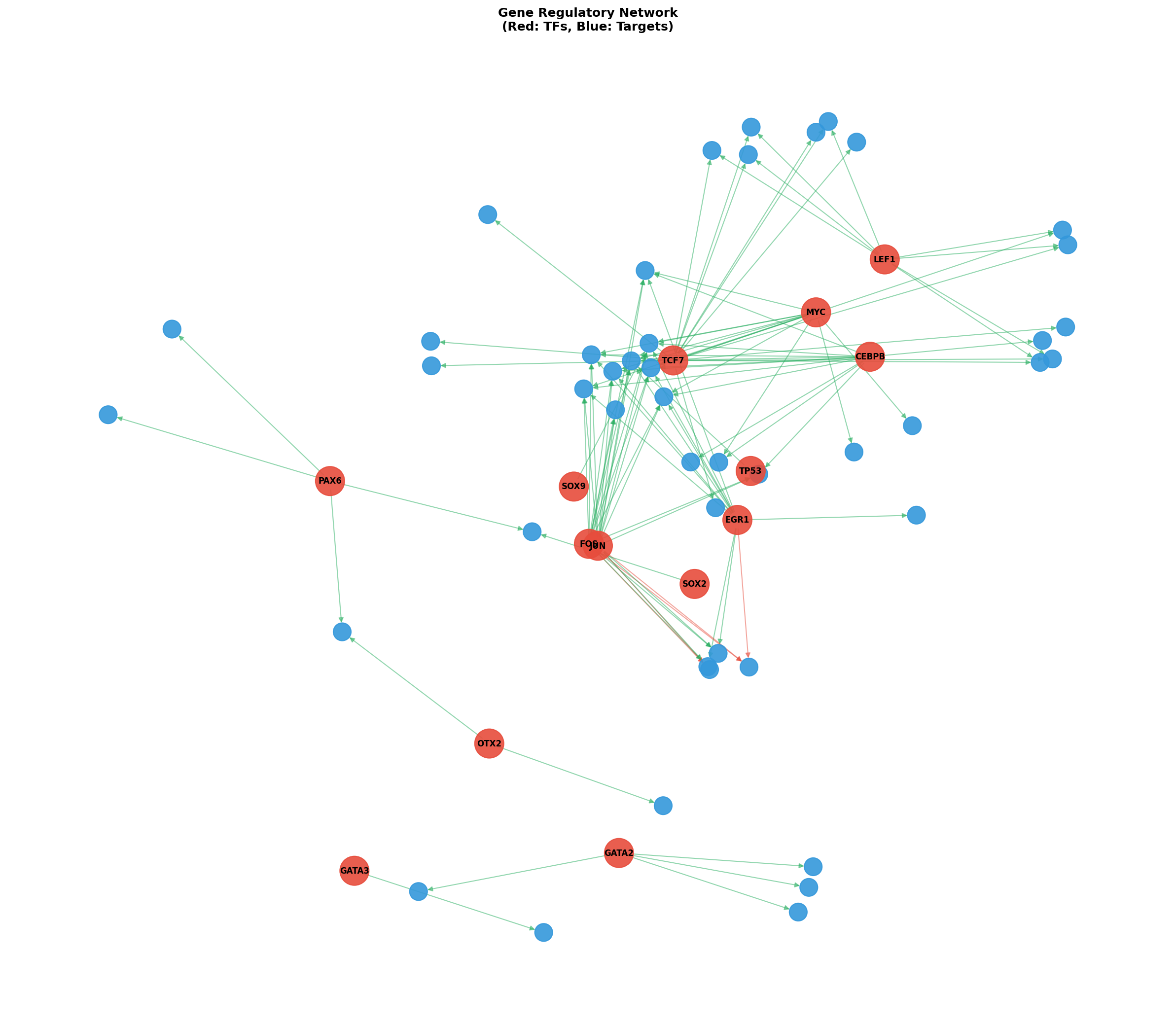 Exploratory TF-Target Association Network