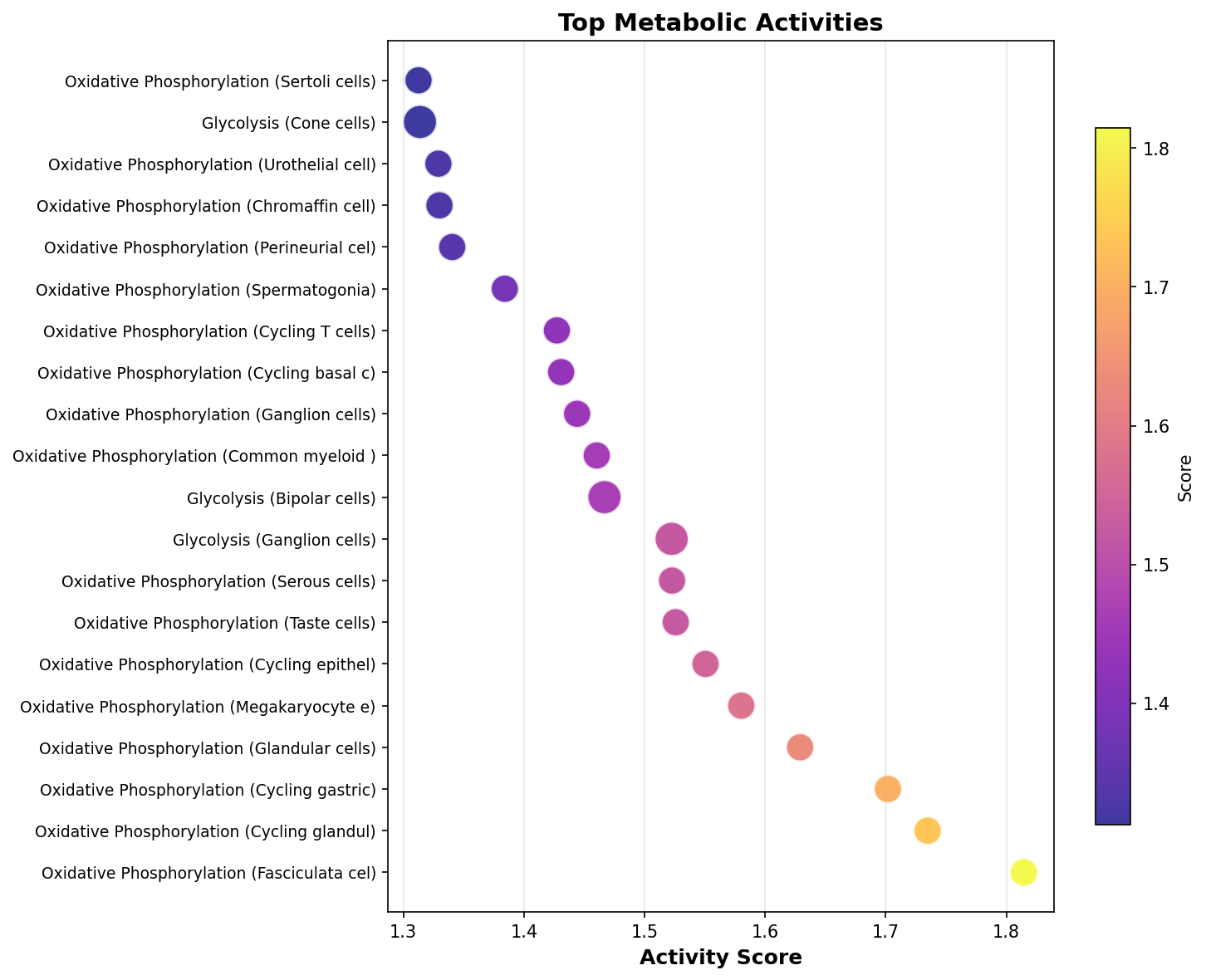 Top Metabolic Activities