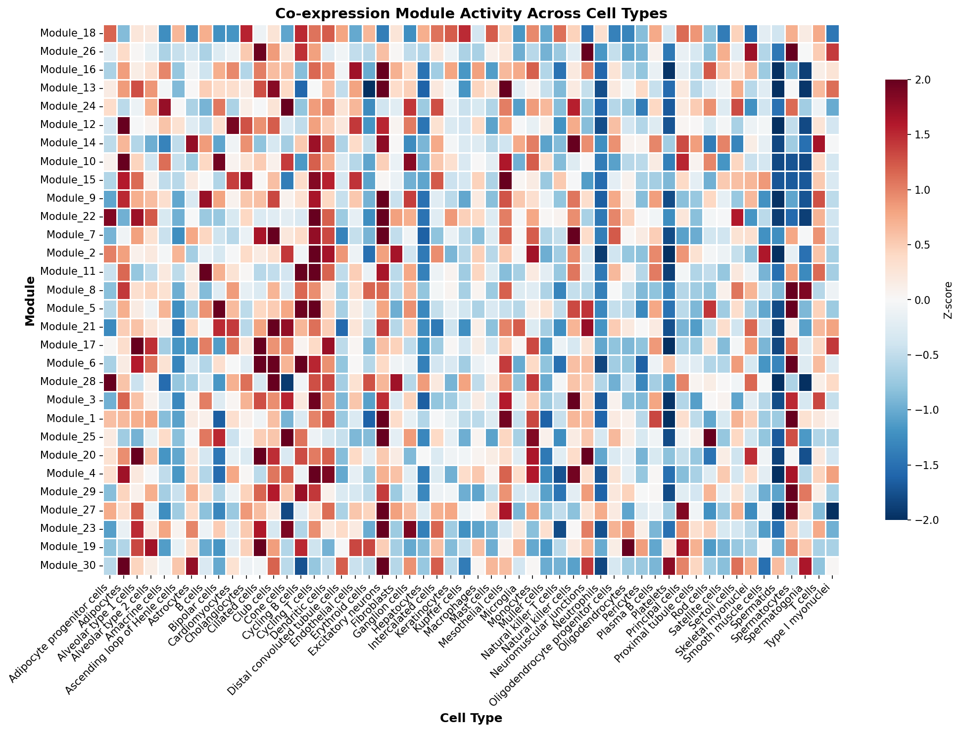 Module-Cell Type Association