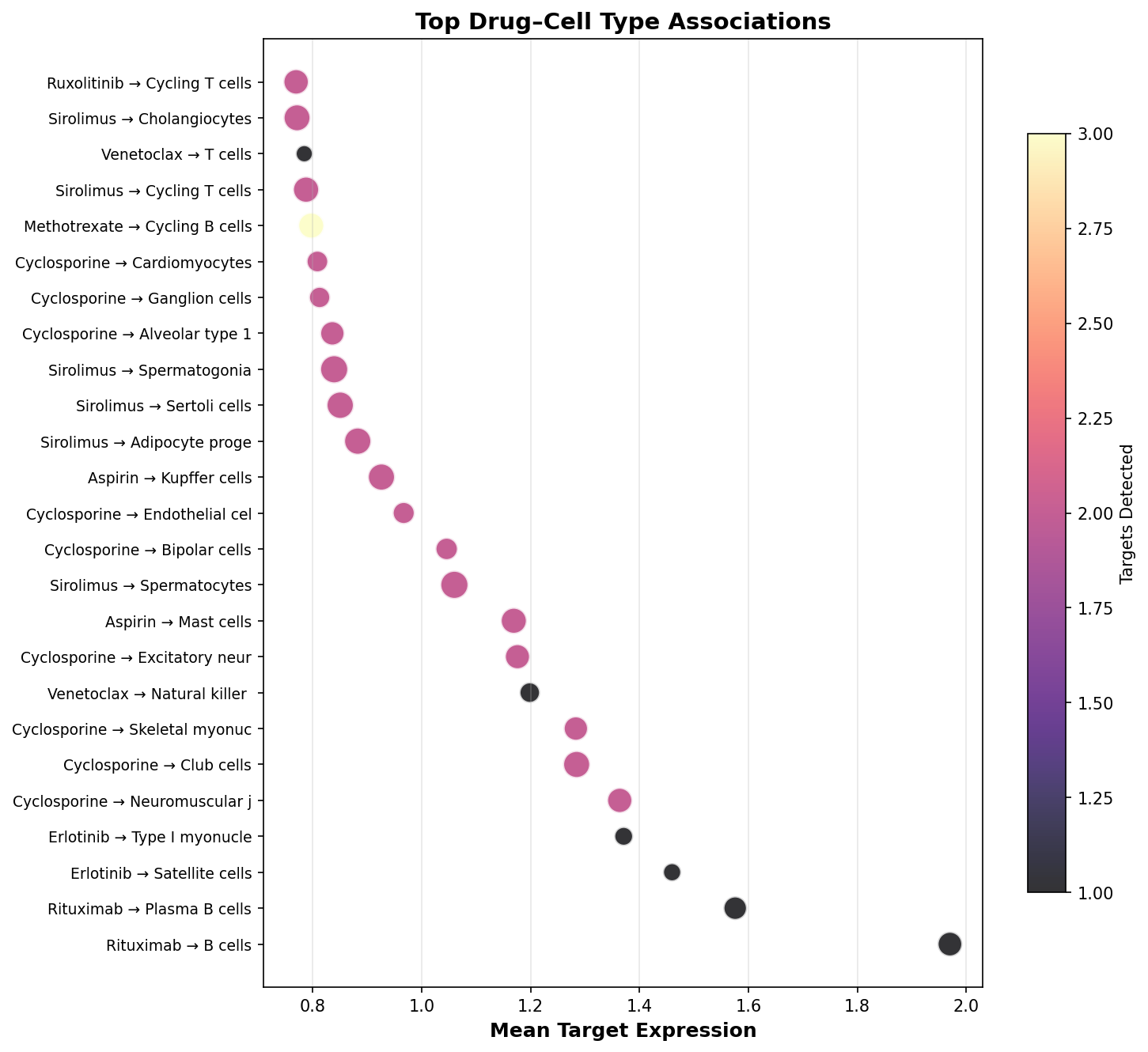 Top Drug–Cell Type Associations