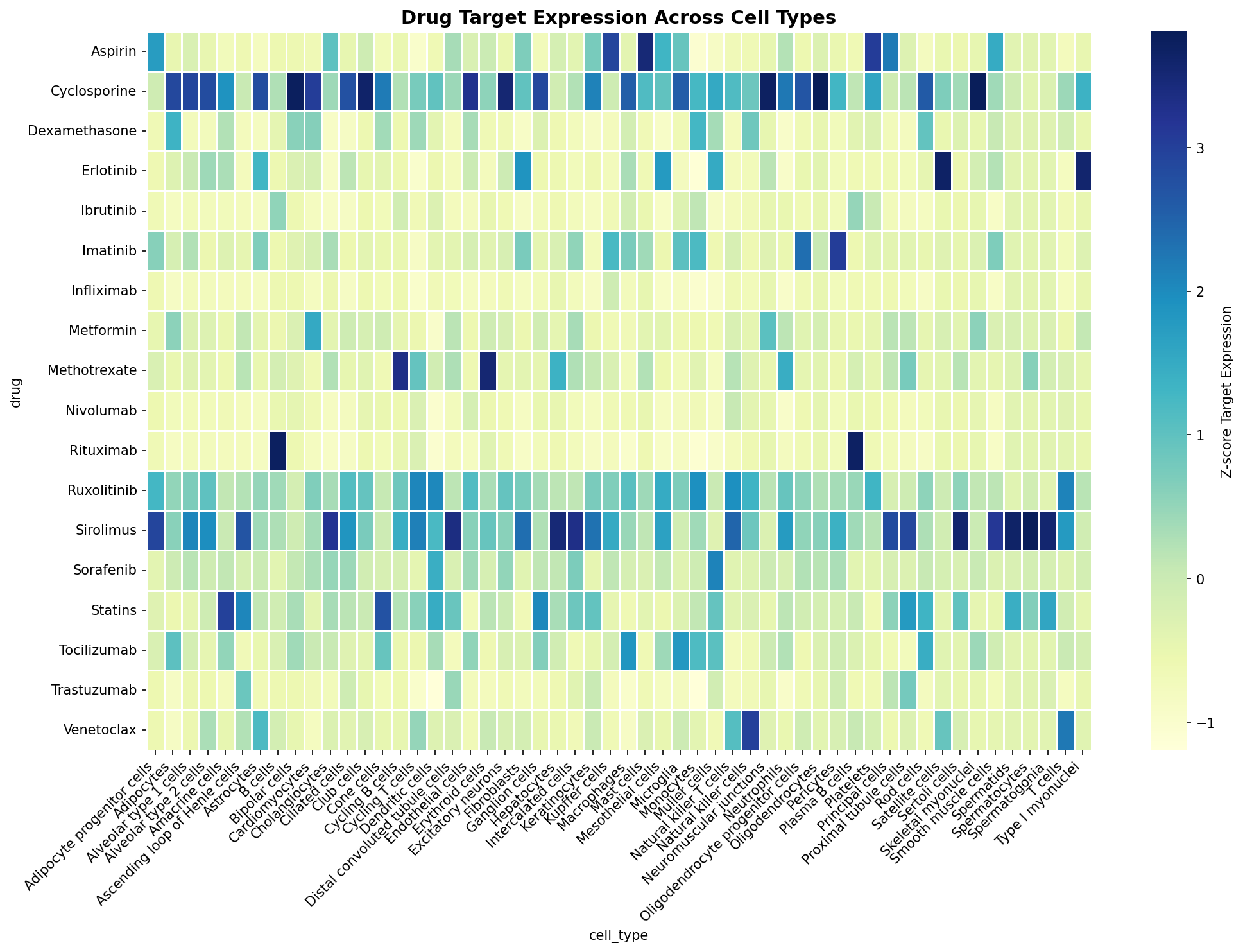 Drug Target Expression Heatmap