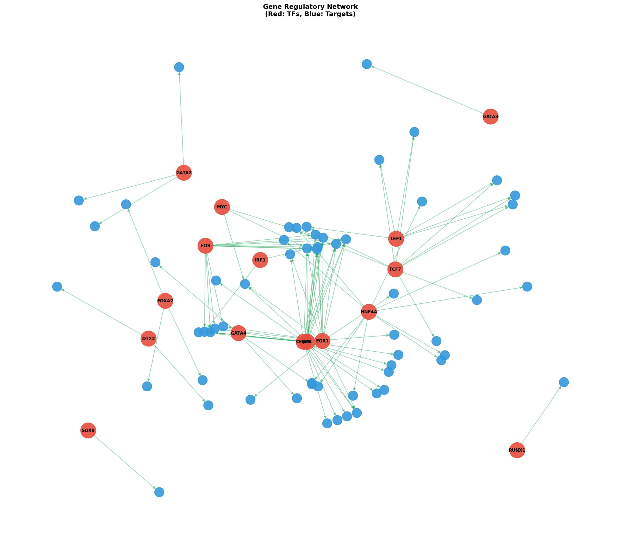 Exploratory TF-Target Association Network