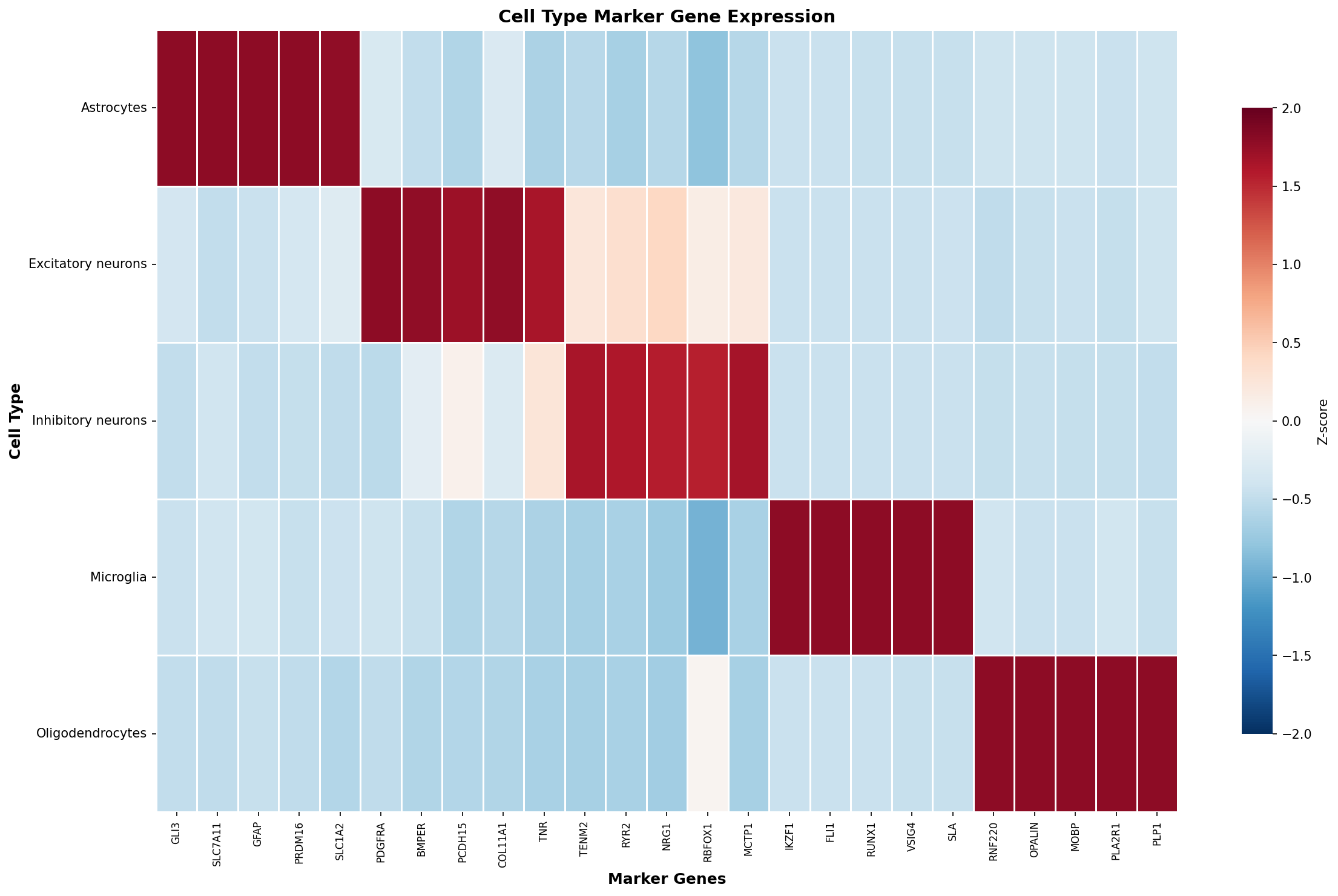 Marker Gene Heatmap