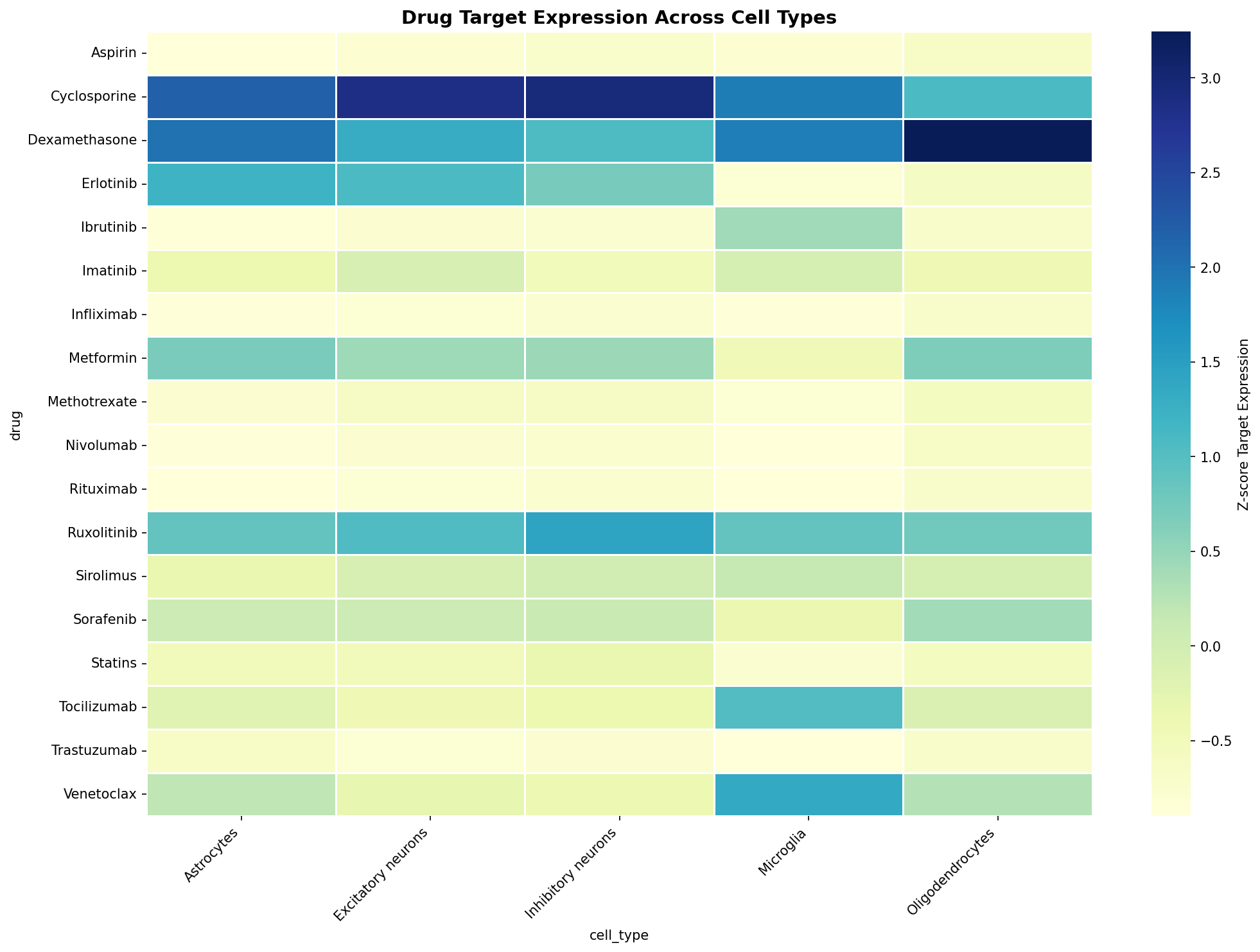 Drug Target Expression Heatmap