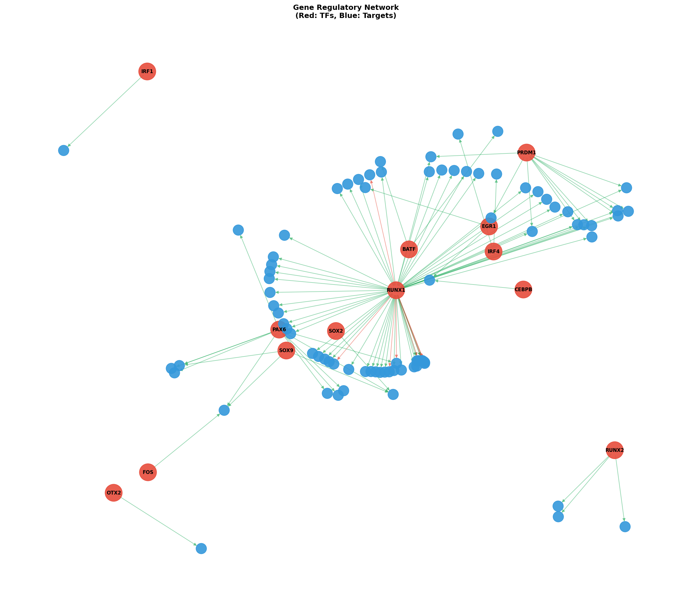 Exploratory TF-Target Association Network