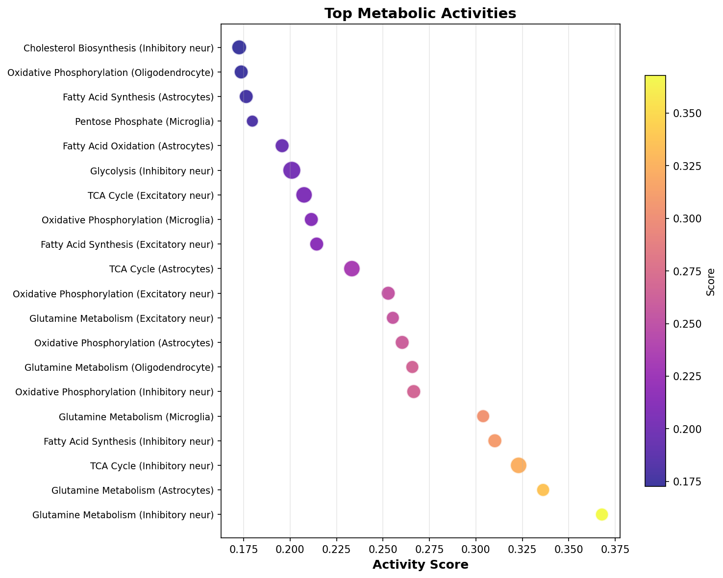 Top Metabolic Activities
