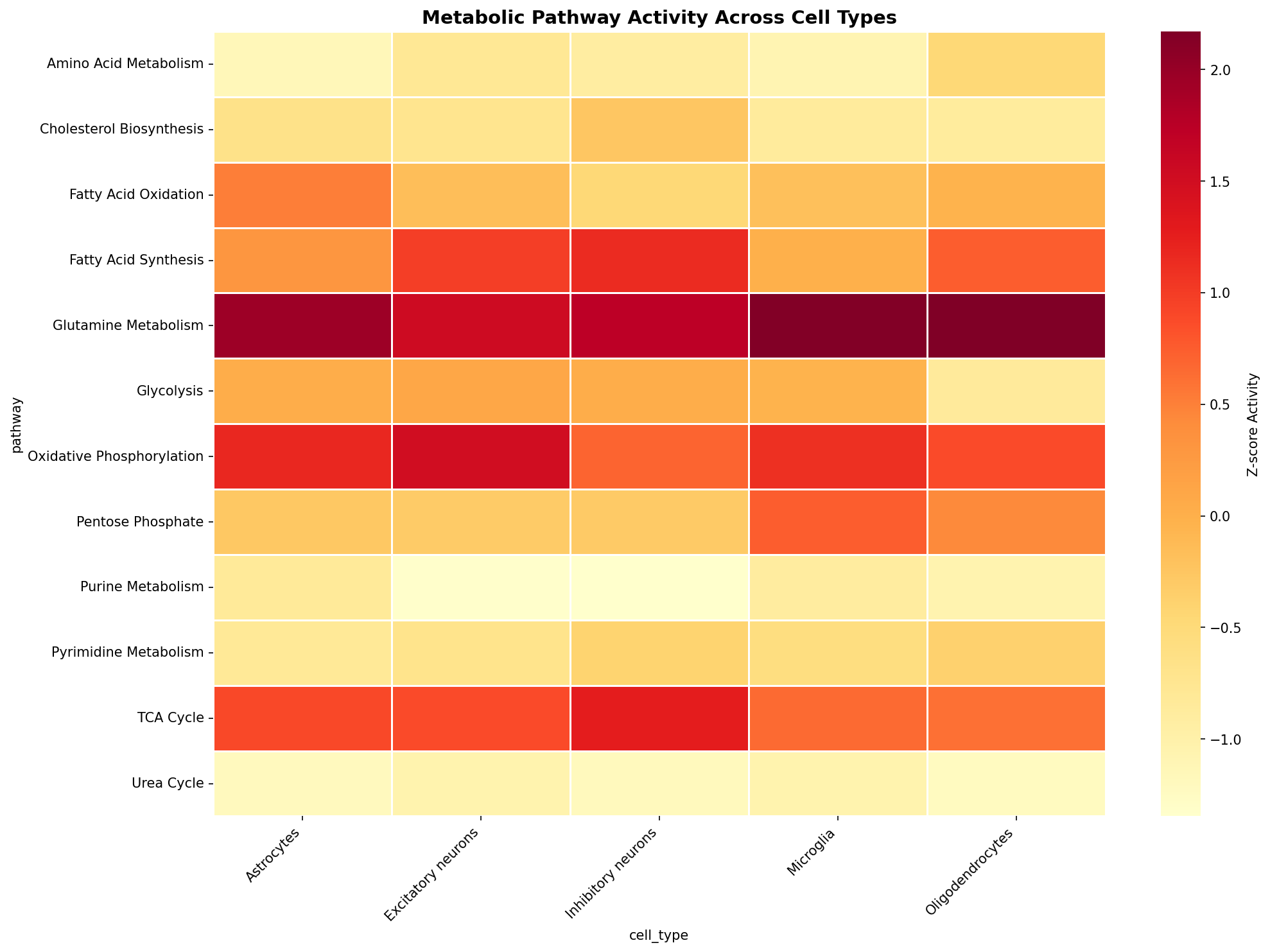 Metabolic Pathway Heatmap