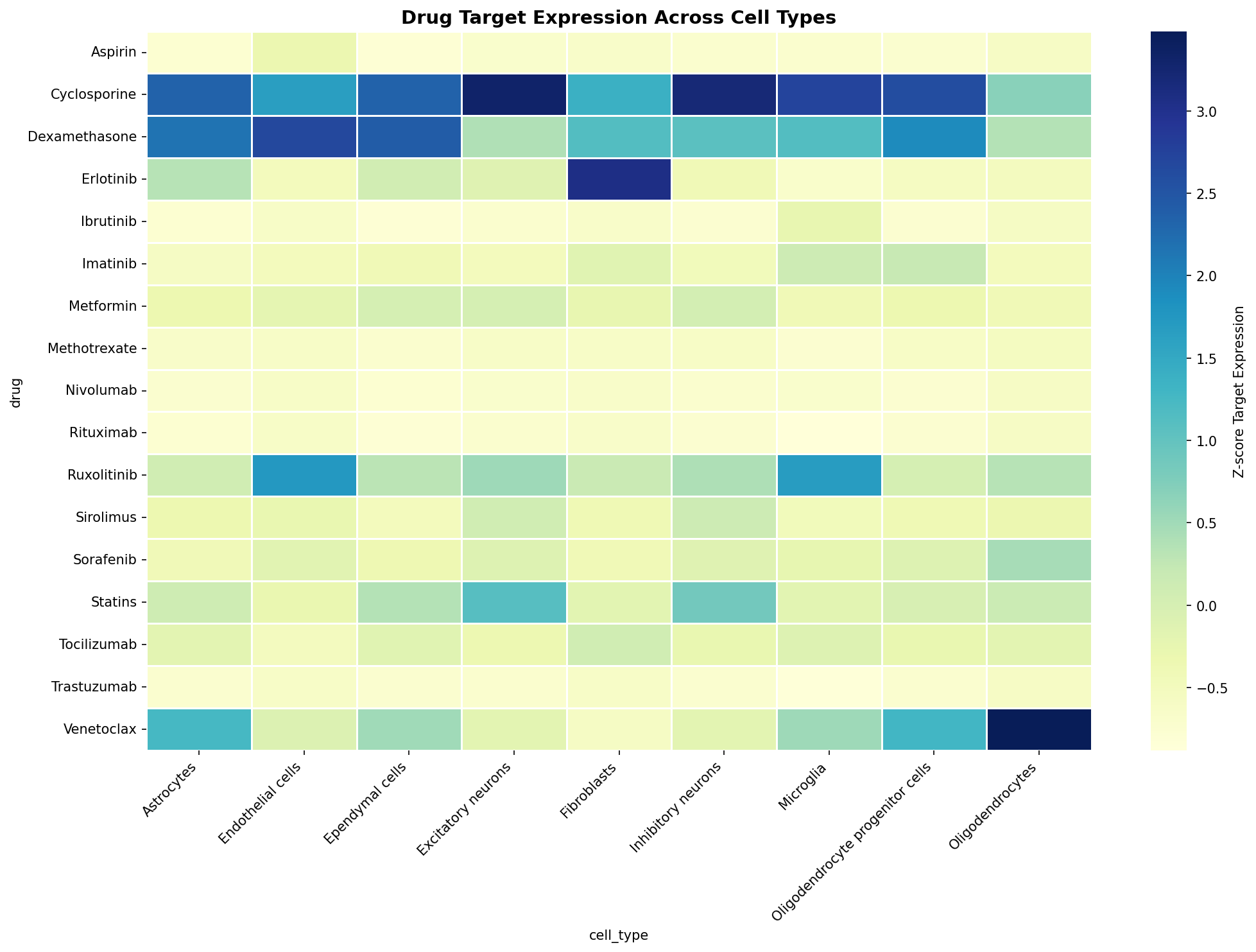 Drug Target Expression Heatmap