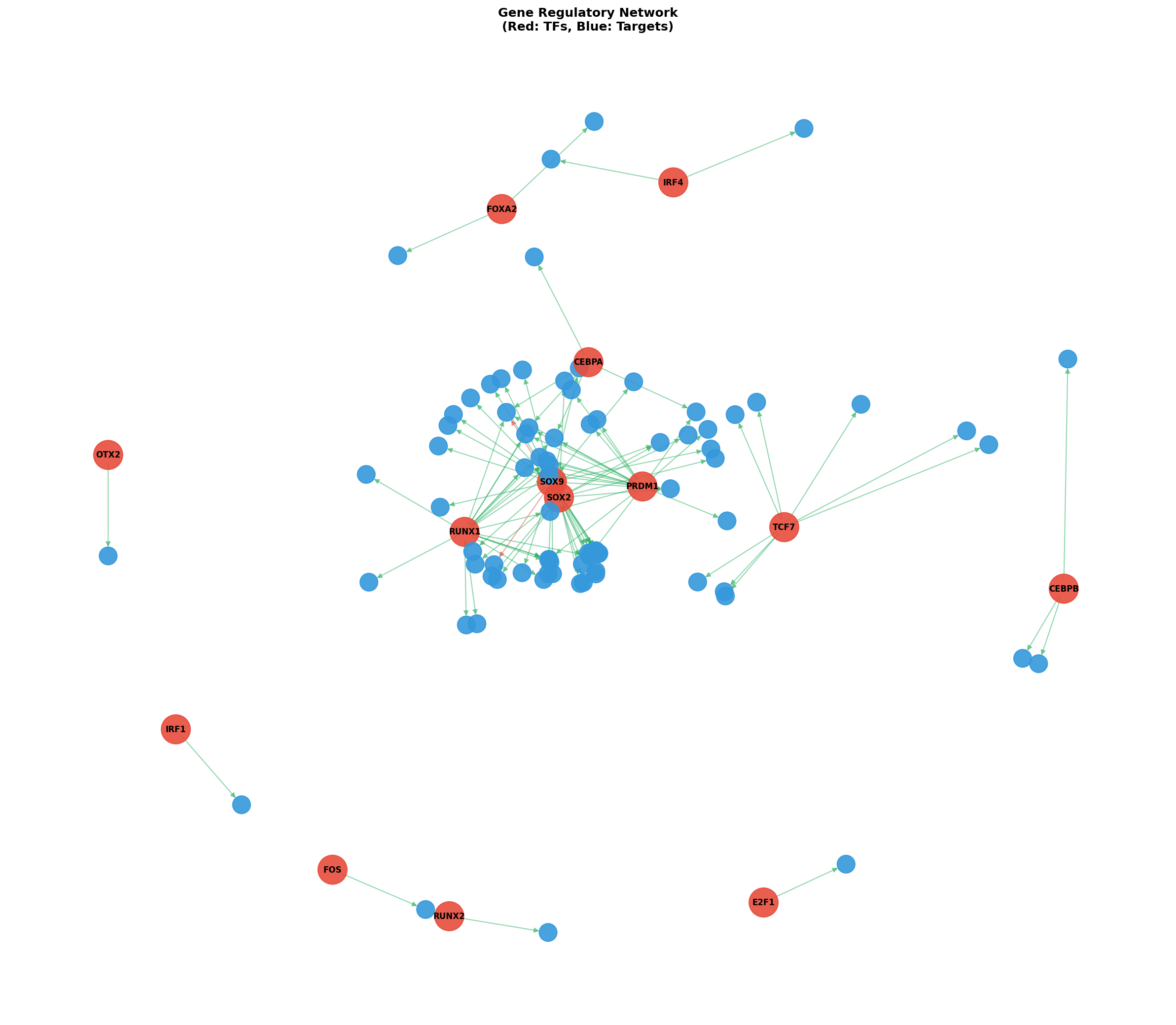 Exploratory TF-Target Association Network