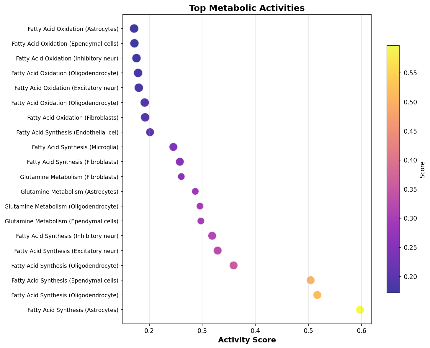 Top Metabolic Activities