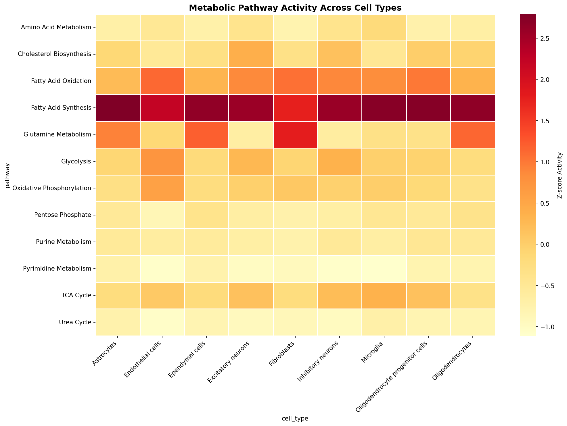 Metabolic Pathway Heatmap