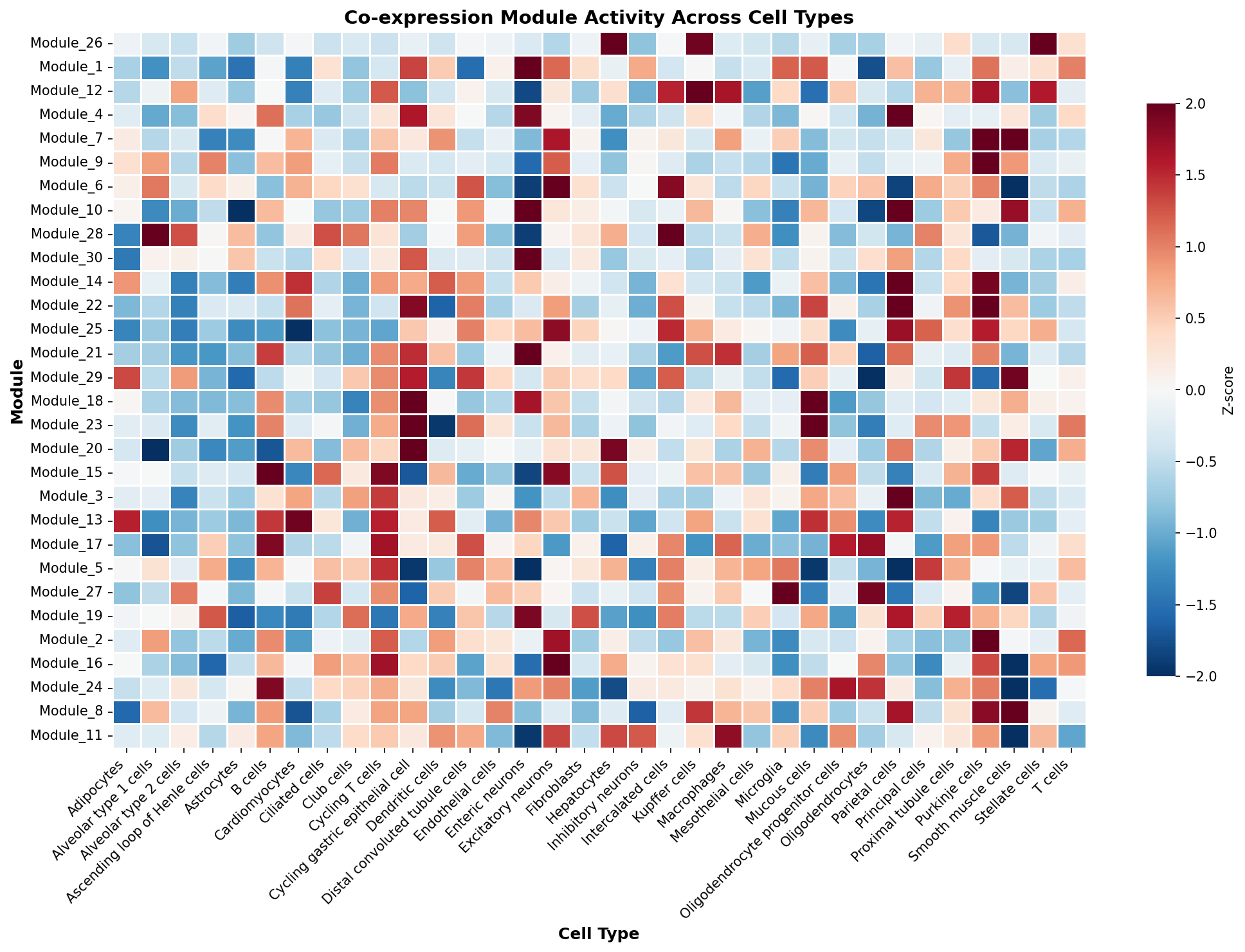 Module-Cell Type Association