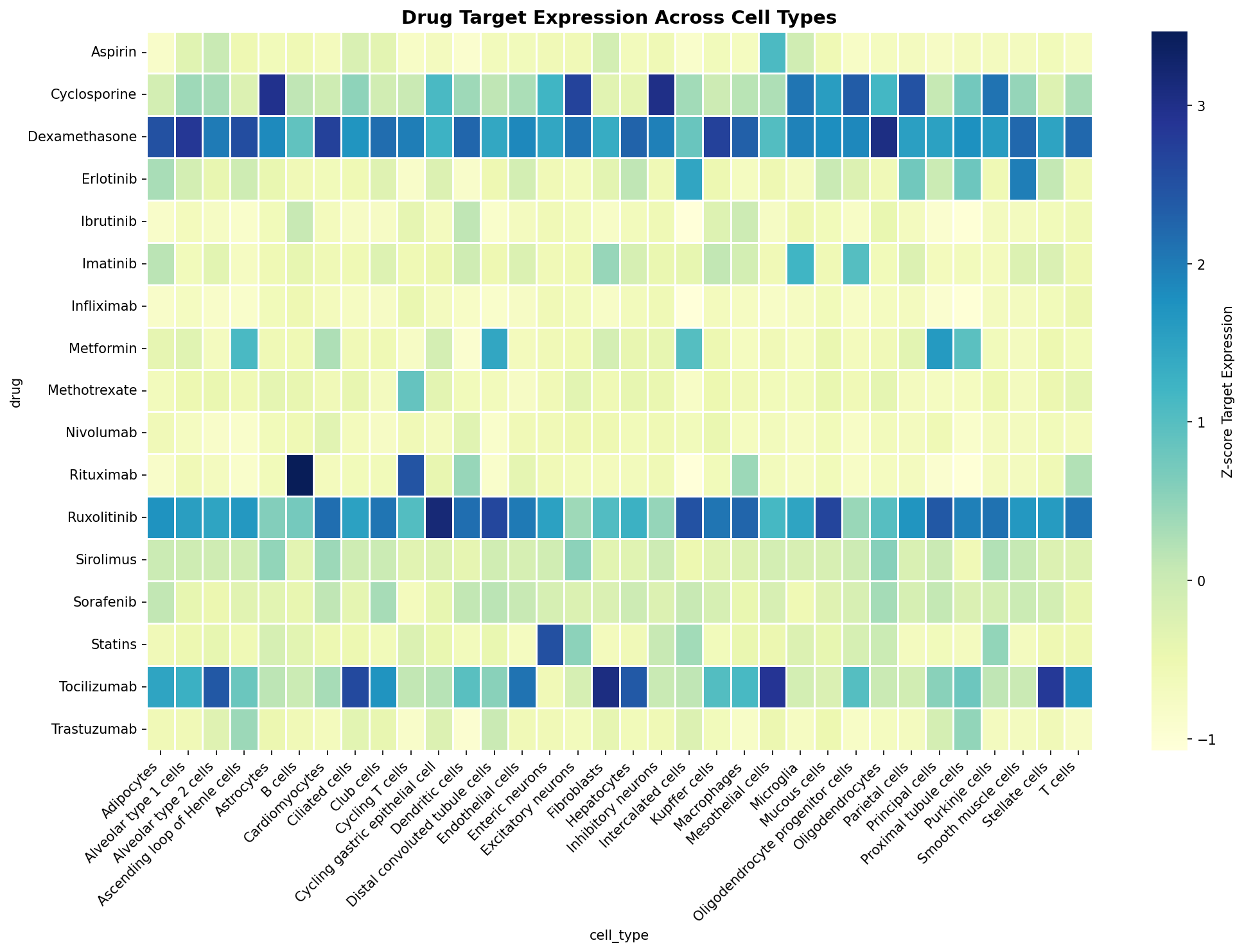 Drug Target Expression Heatmap