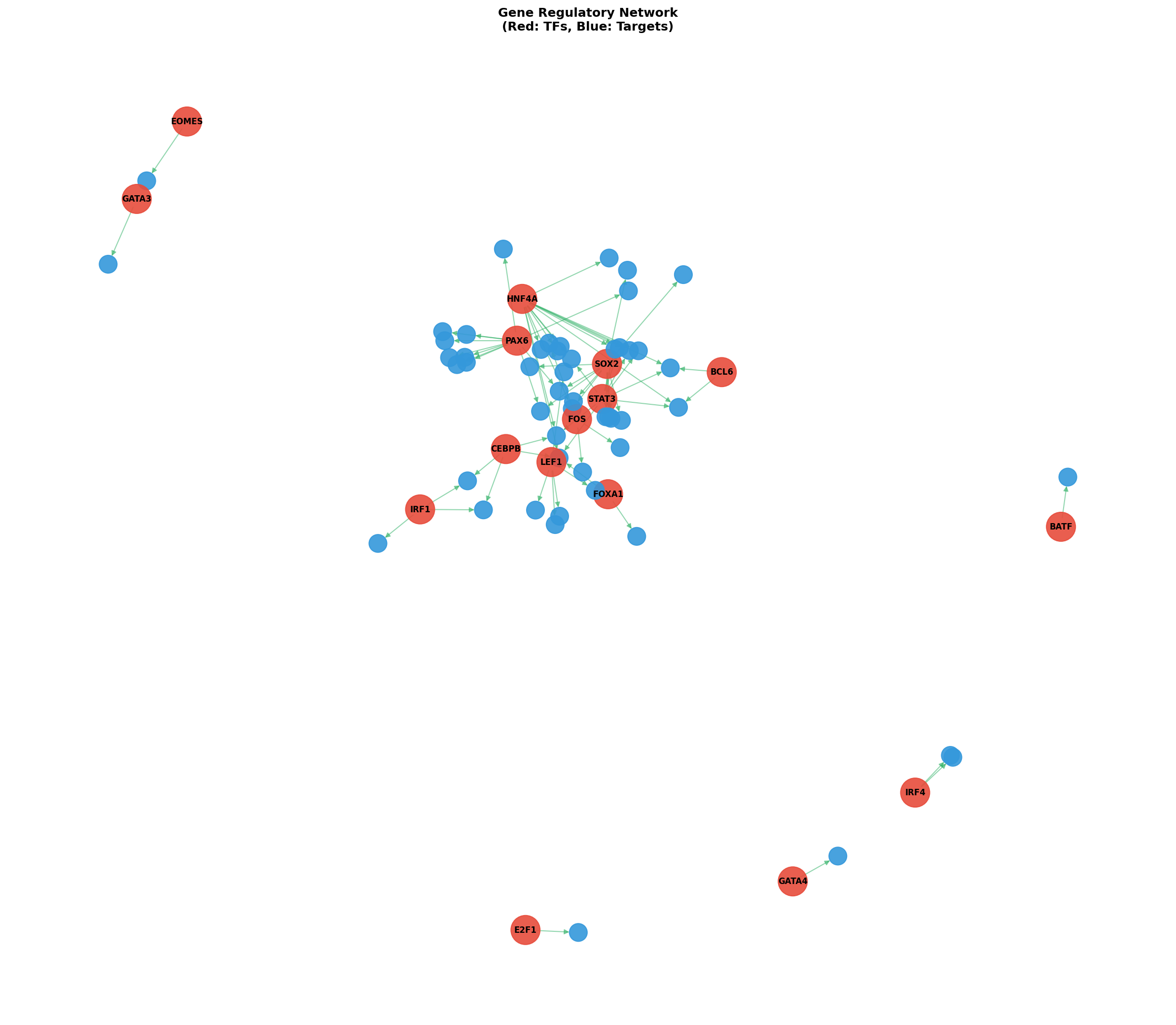 Exploratory TF-Target Association Network
