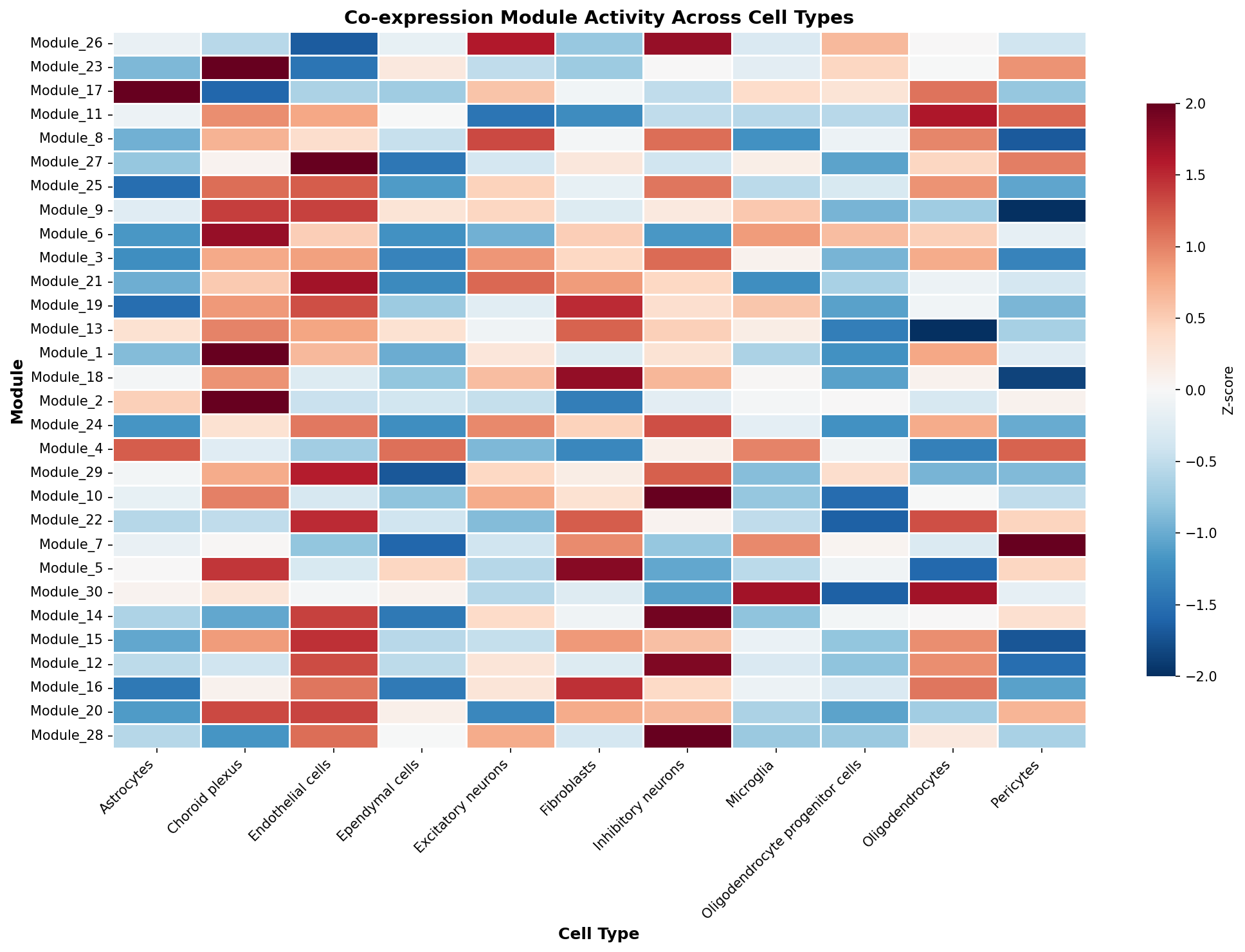 Module-Cell Type Association