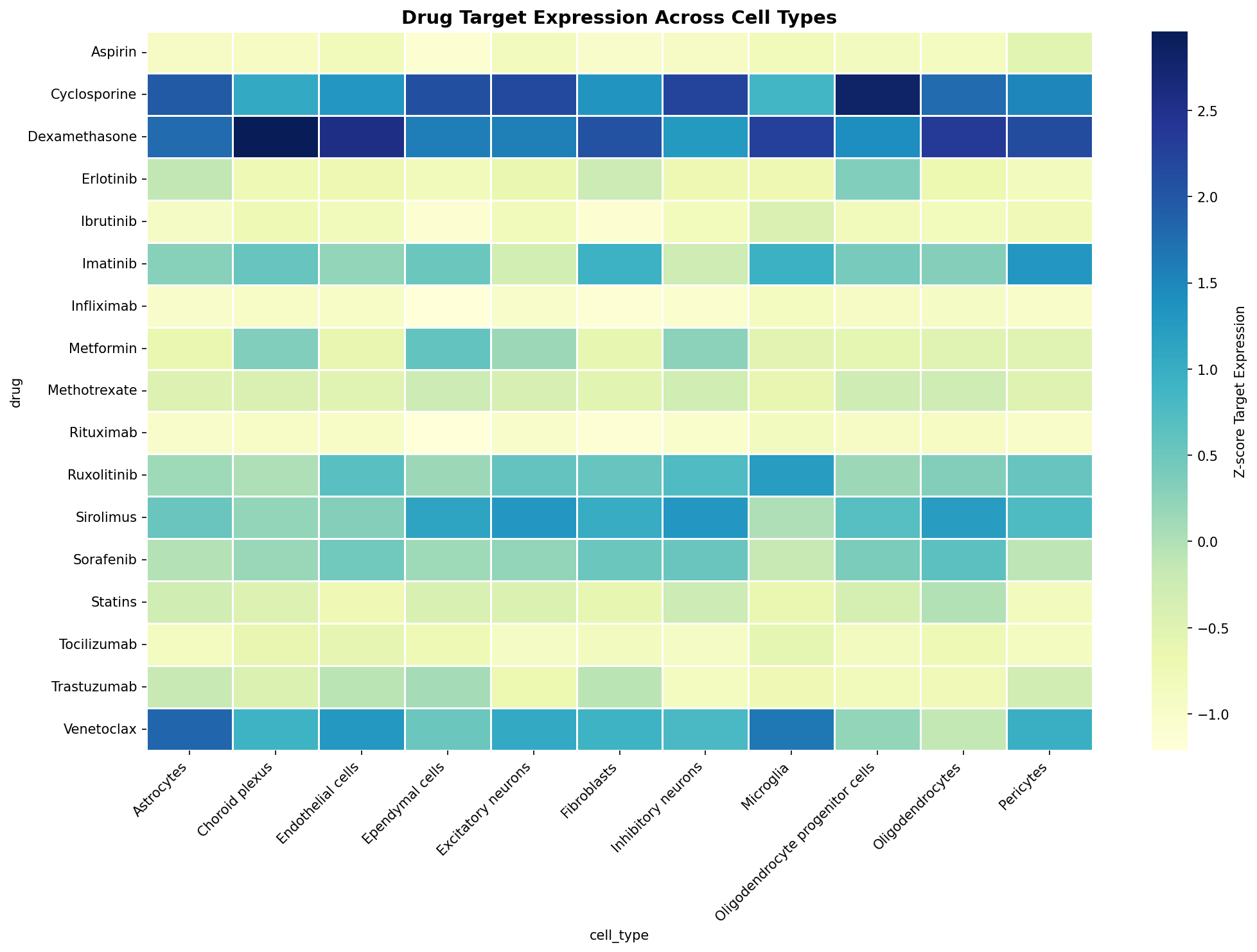 Drug Target Expression Heatmap
