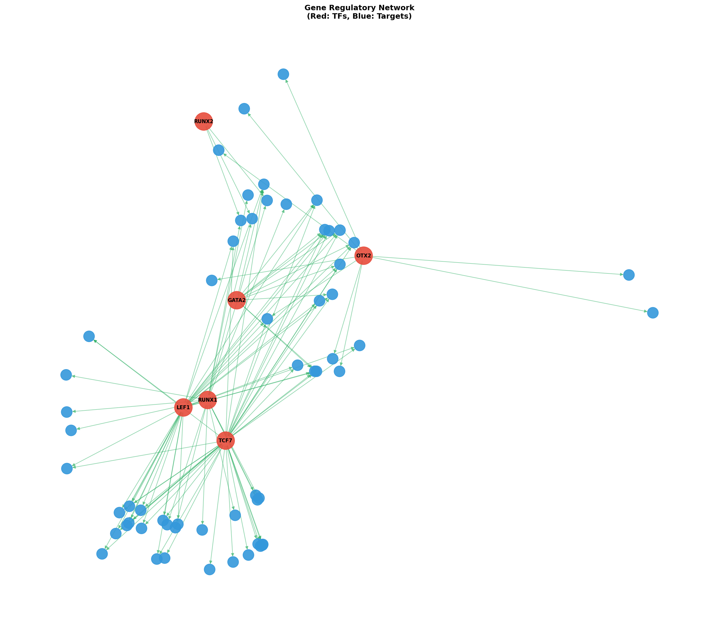 Exploratory TF-Target Association Network