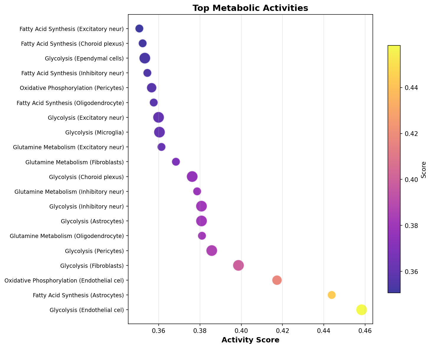 Top Metabolic Activities