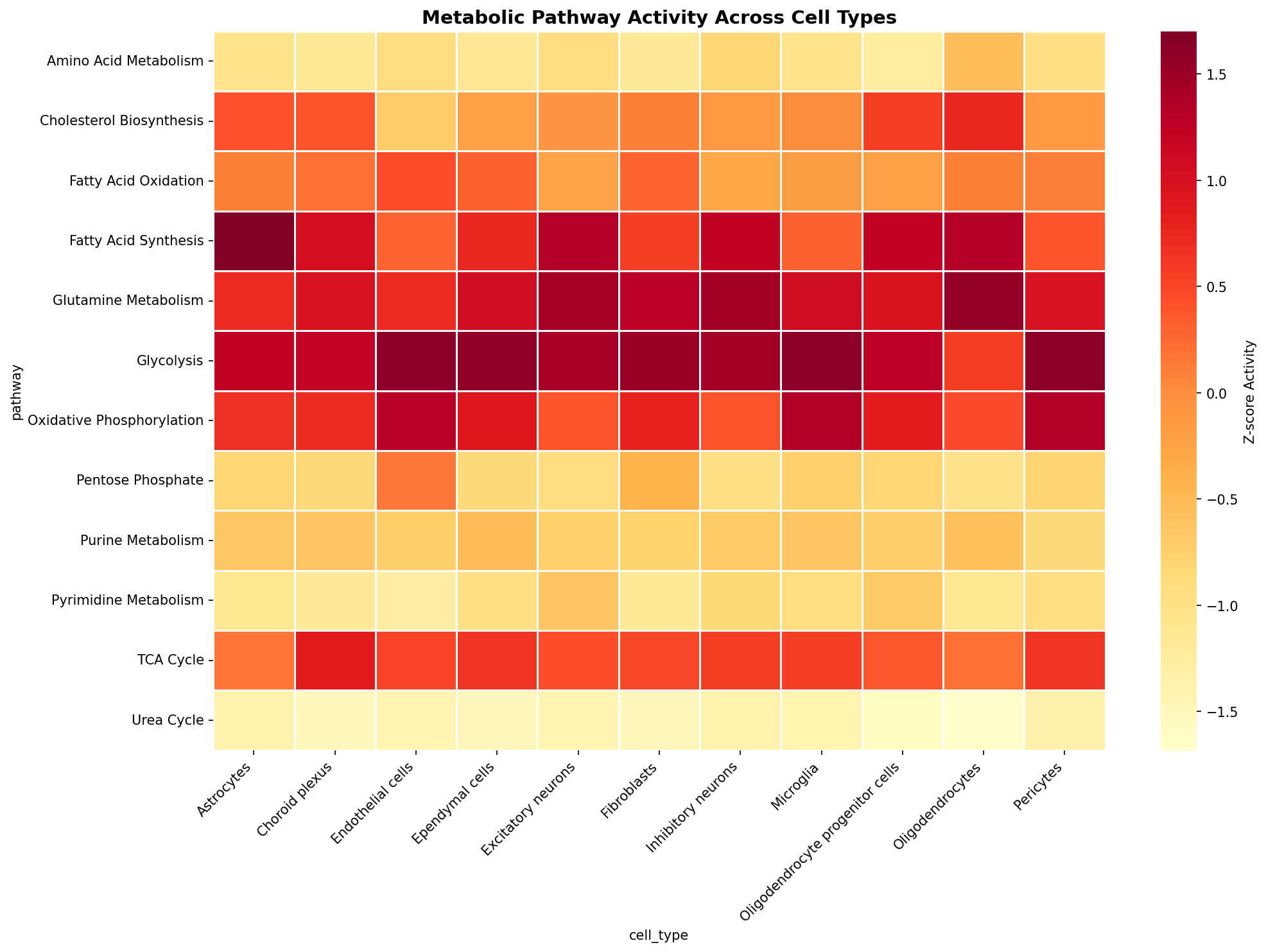 Metabolic Pathway Heatmap