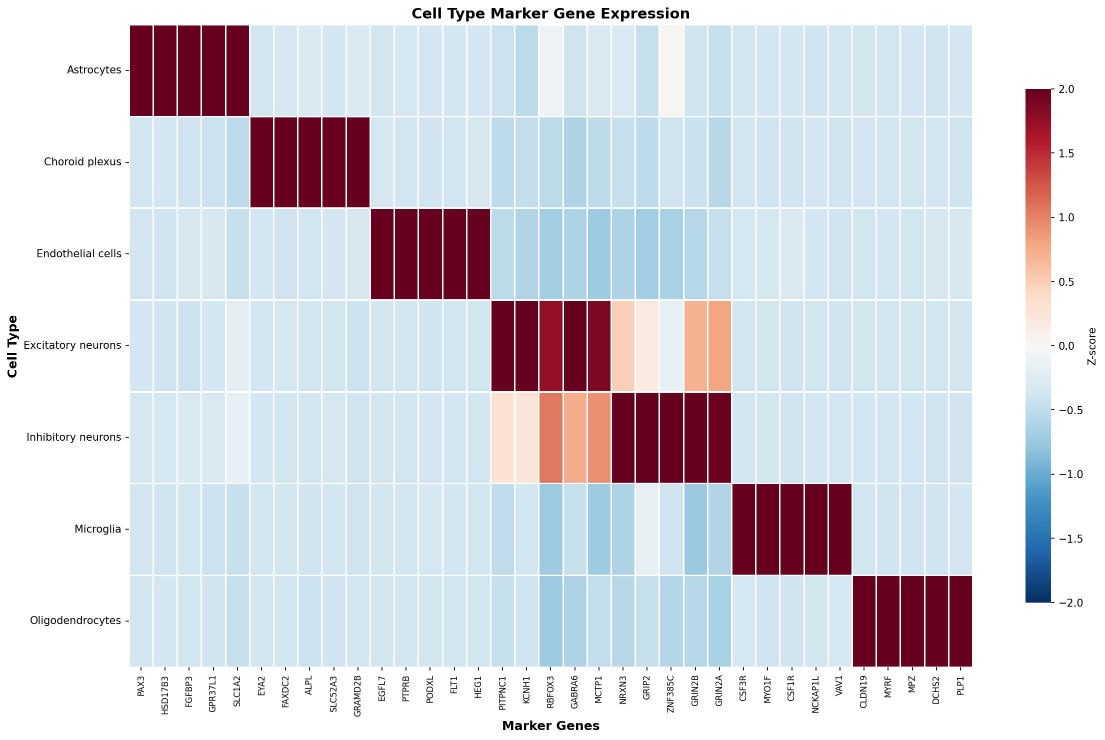 Marker Gene Heatmap