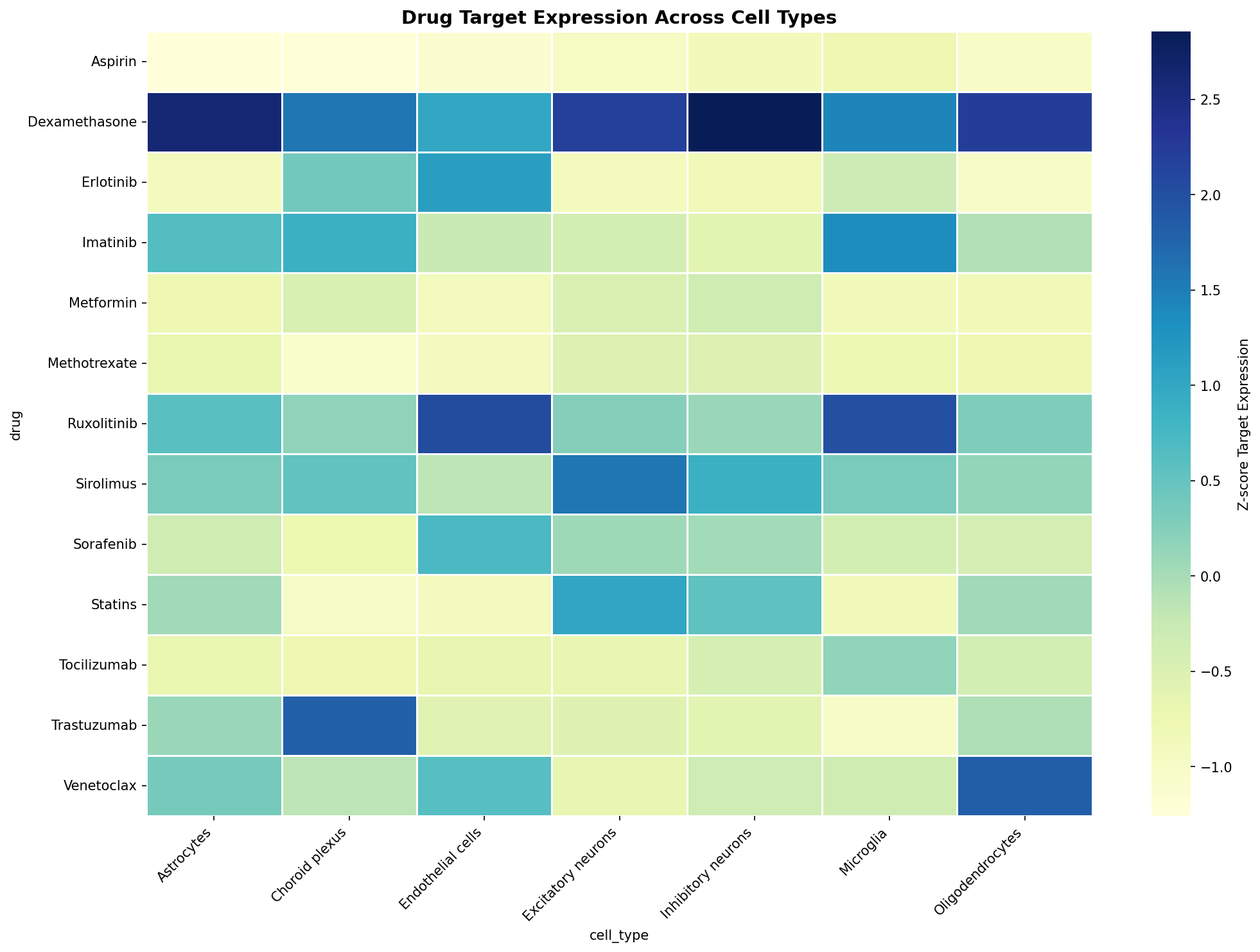 Drug Target Expression Heatmap