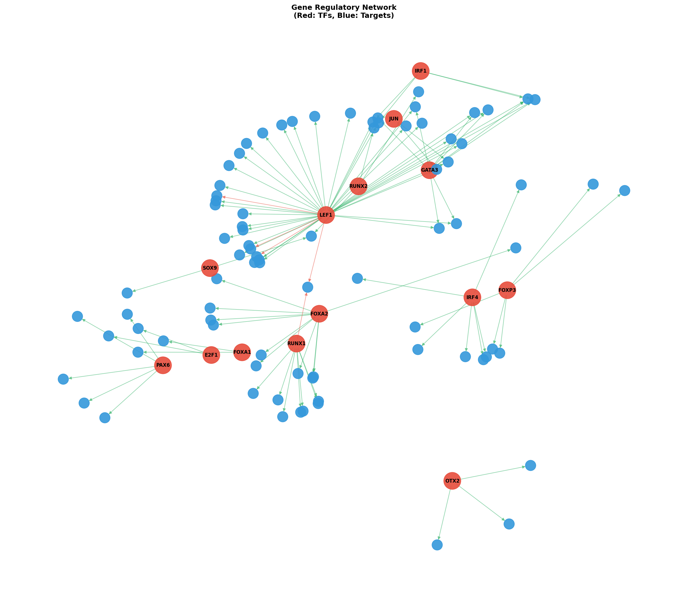 Exploratory TF-Target Association Network