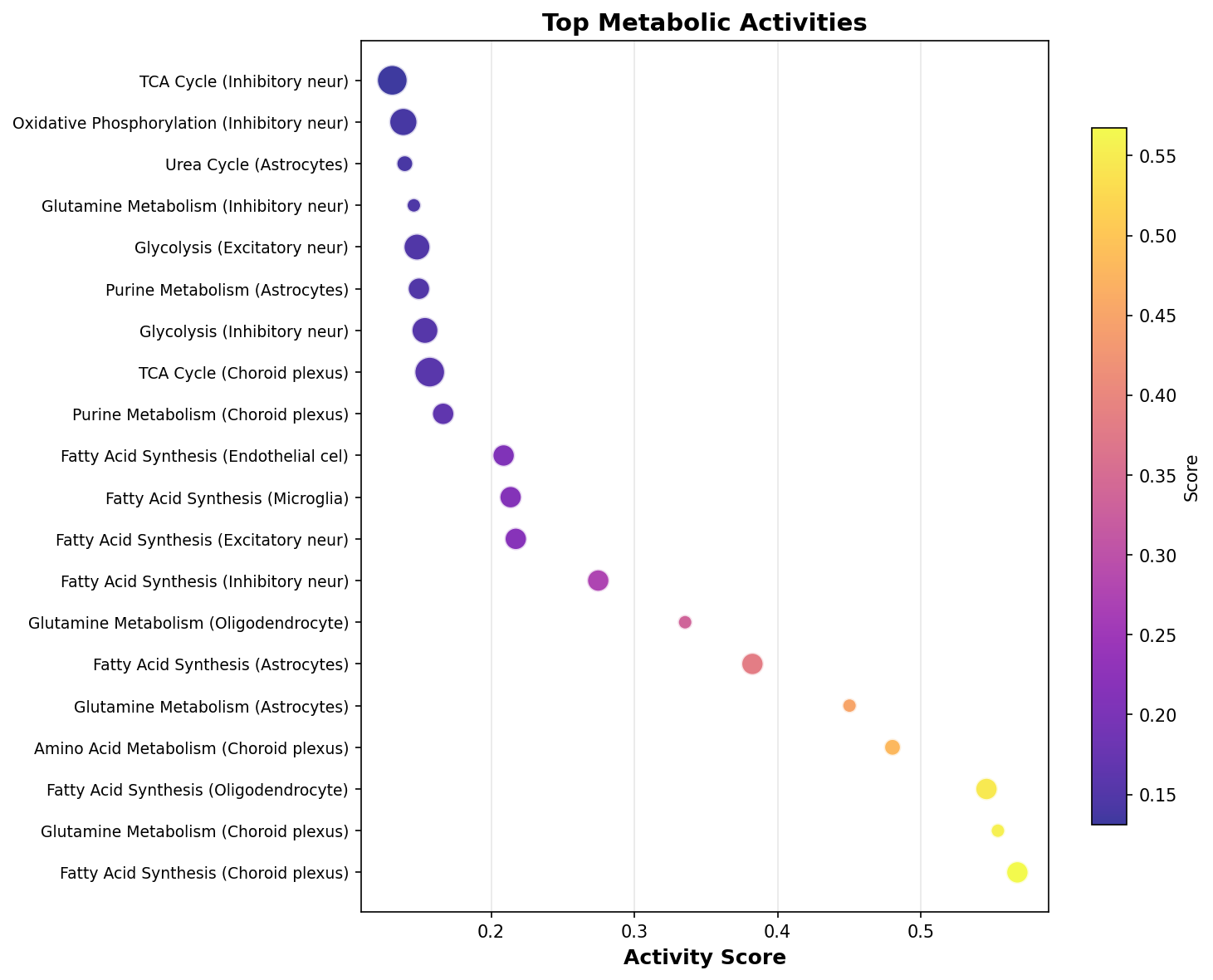 Top Metabolic Activities