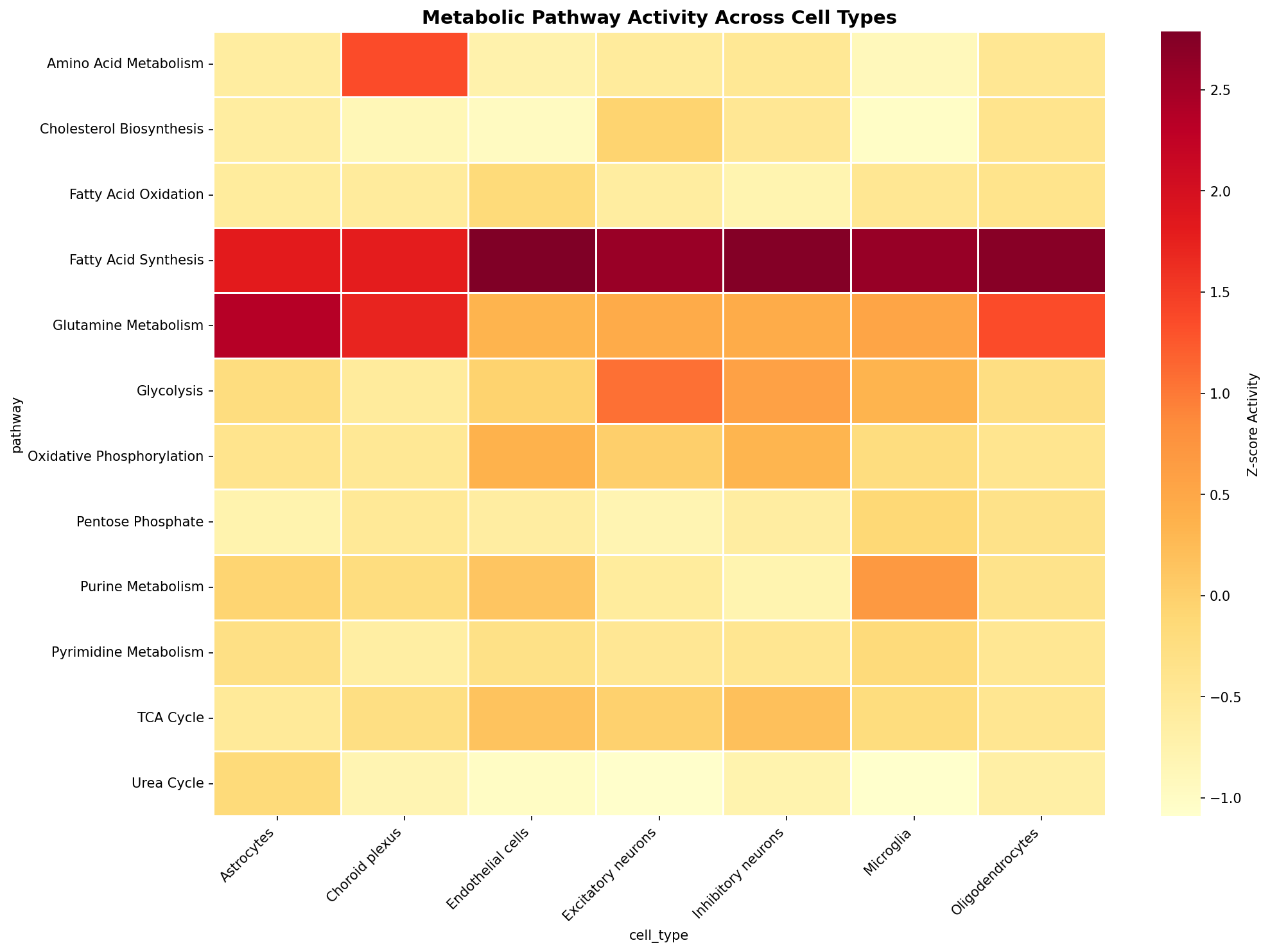 Metabolic Pathway Heatmap