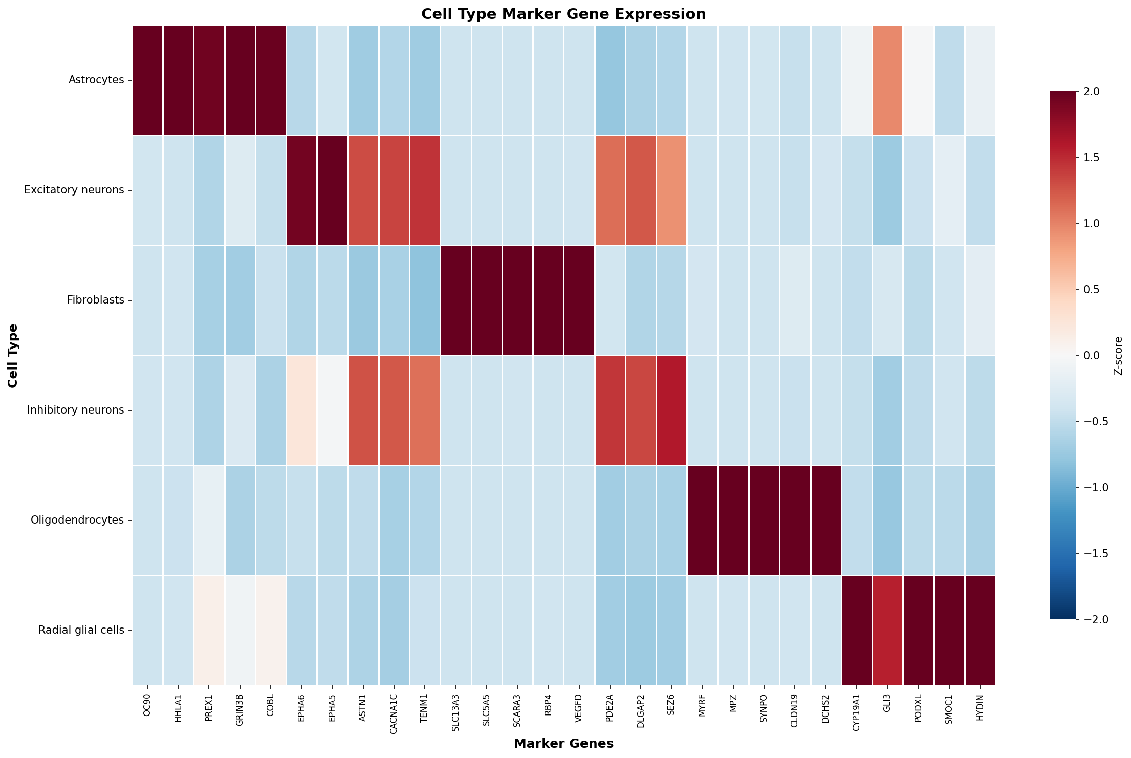 Marker Gene Heatmap