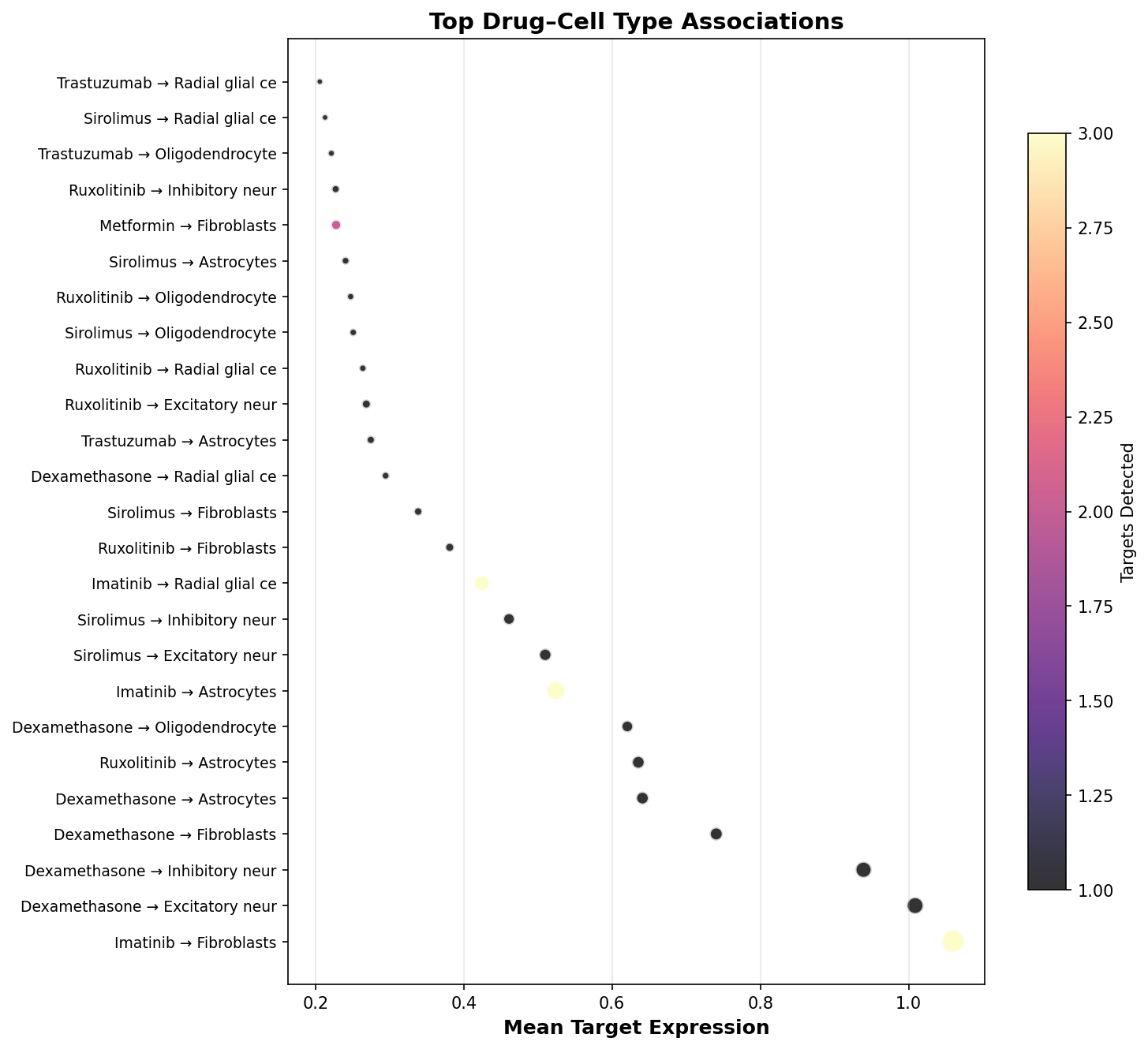 Top Drug–Cell Type Associations