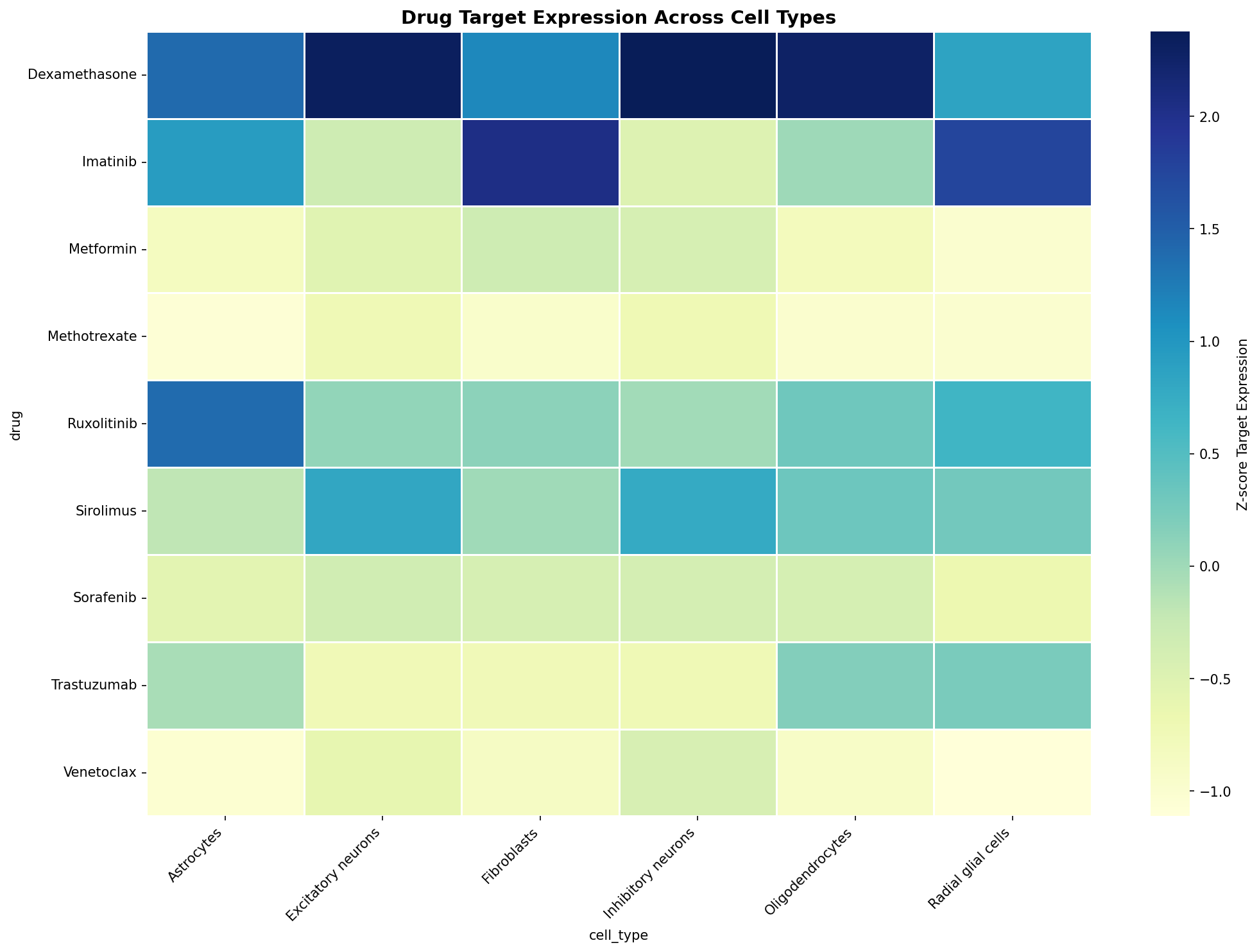 Drug Target Expression Heatmap