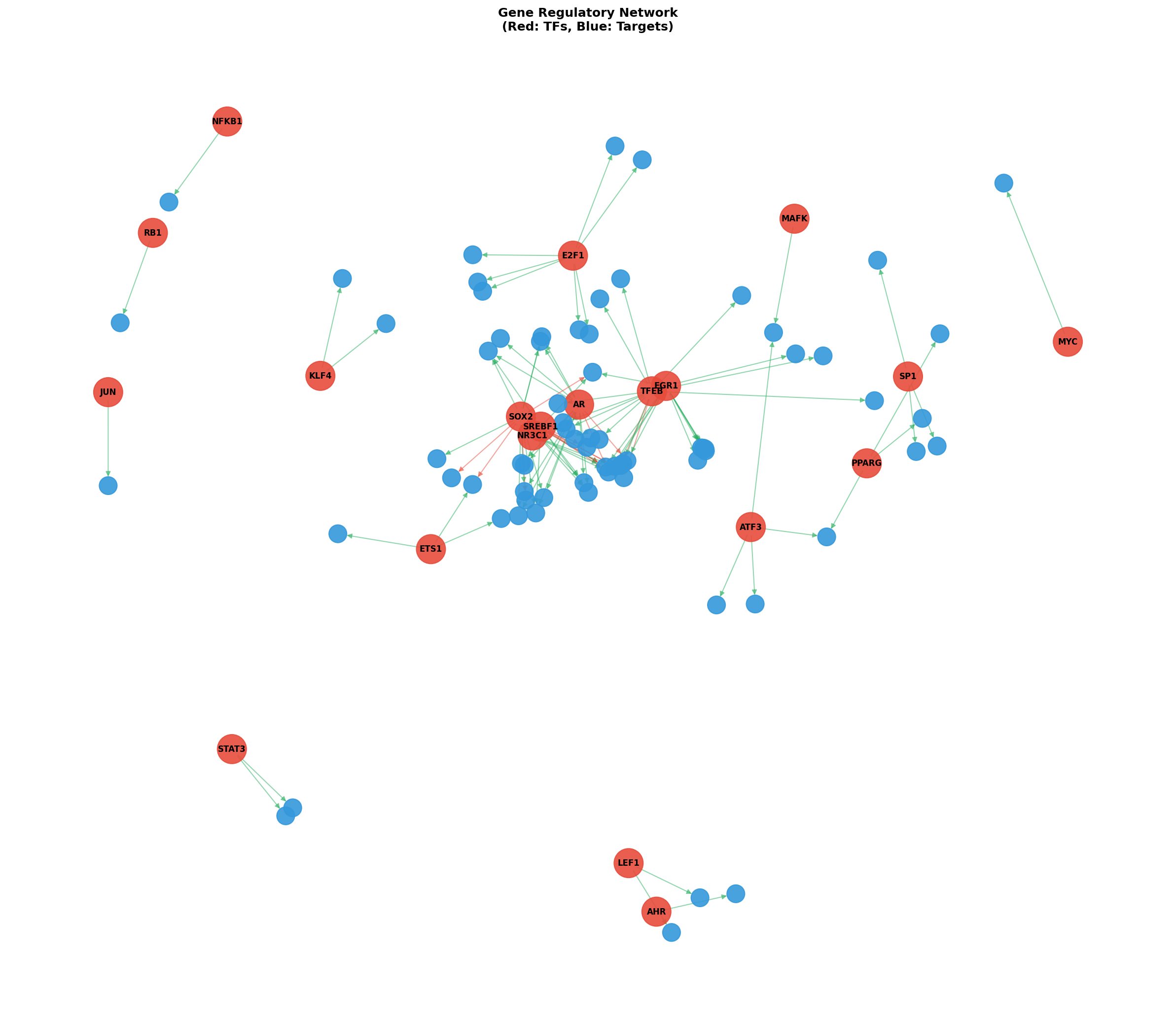 Exploratory TF-Target Association Network