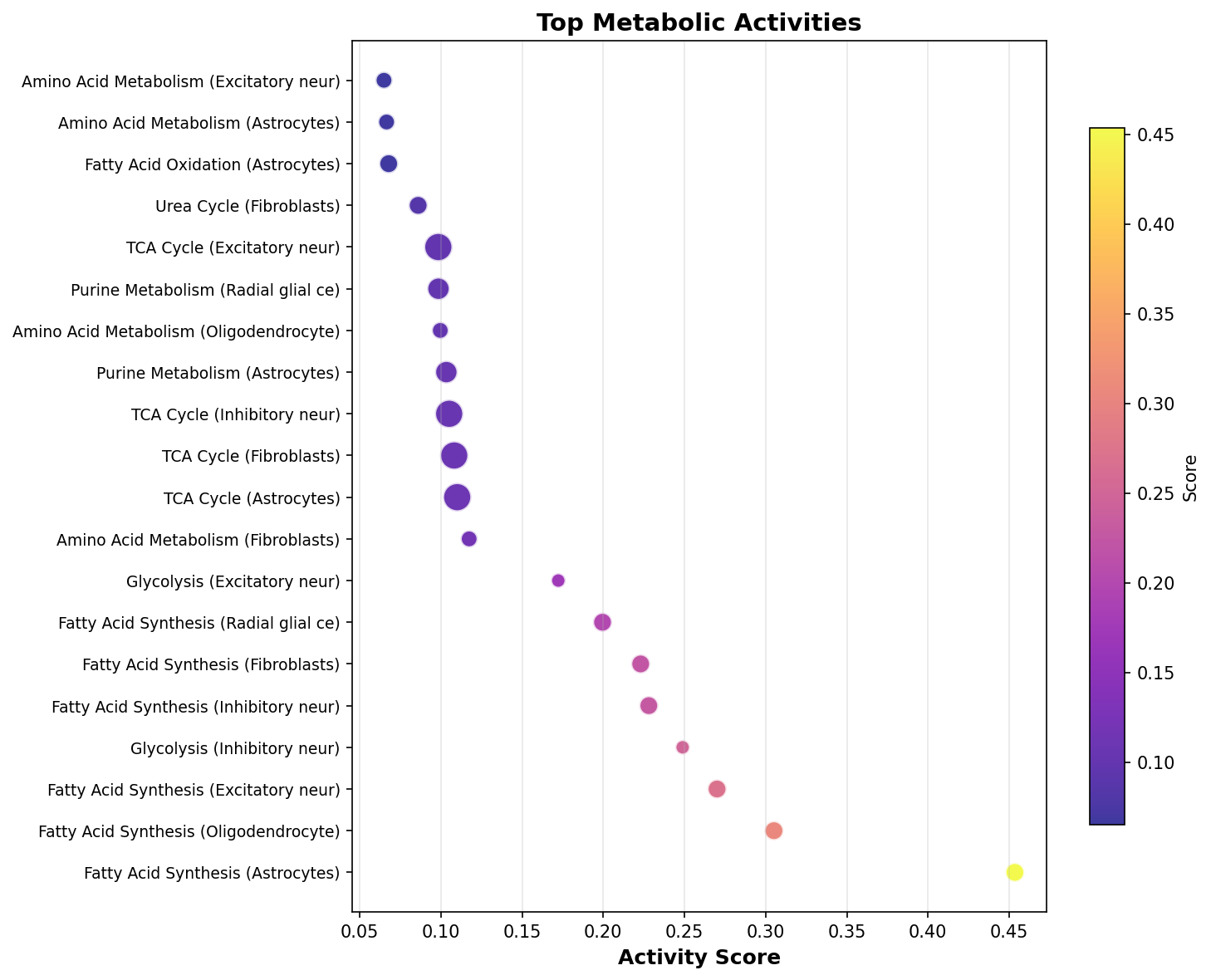 Top Metabolic Activities