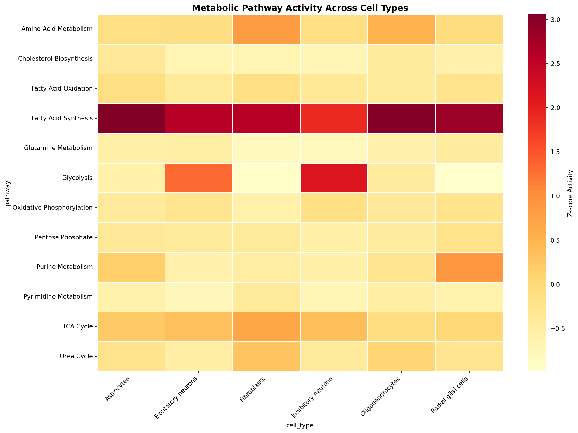 Metabolic Pathway Heatmap