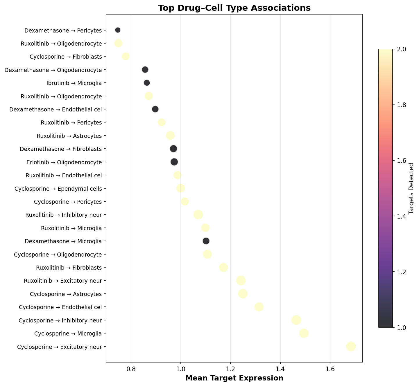 Top Drug–Cell Type Associations