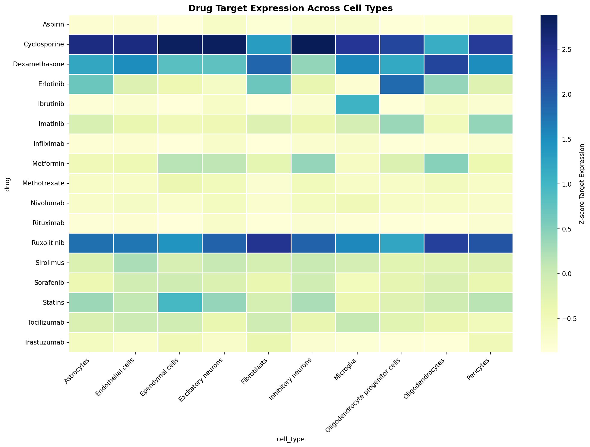 Drug Target Expression Heatmap