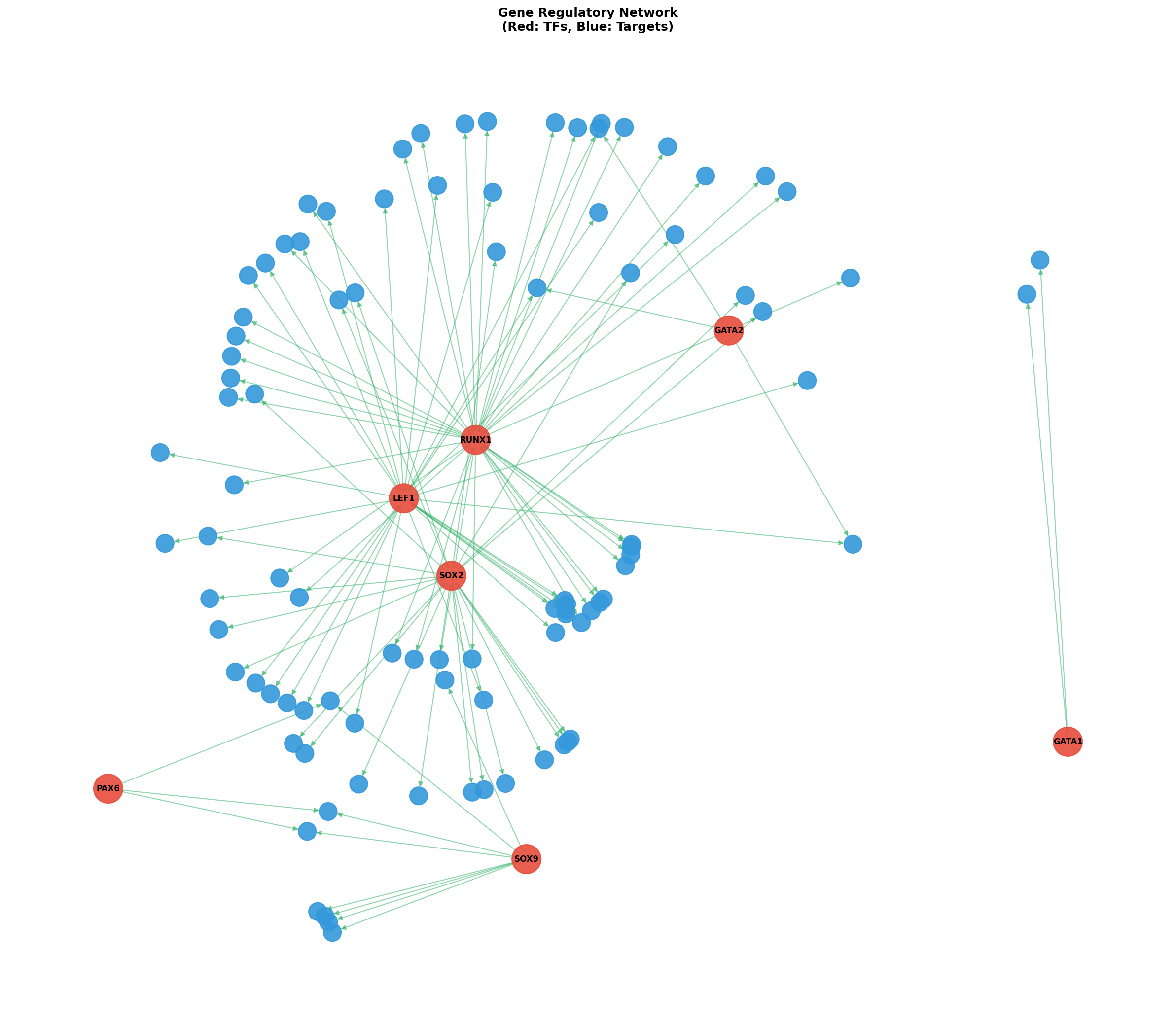 Exploratory TF-Target Association Network