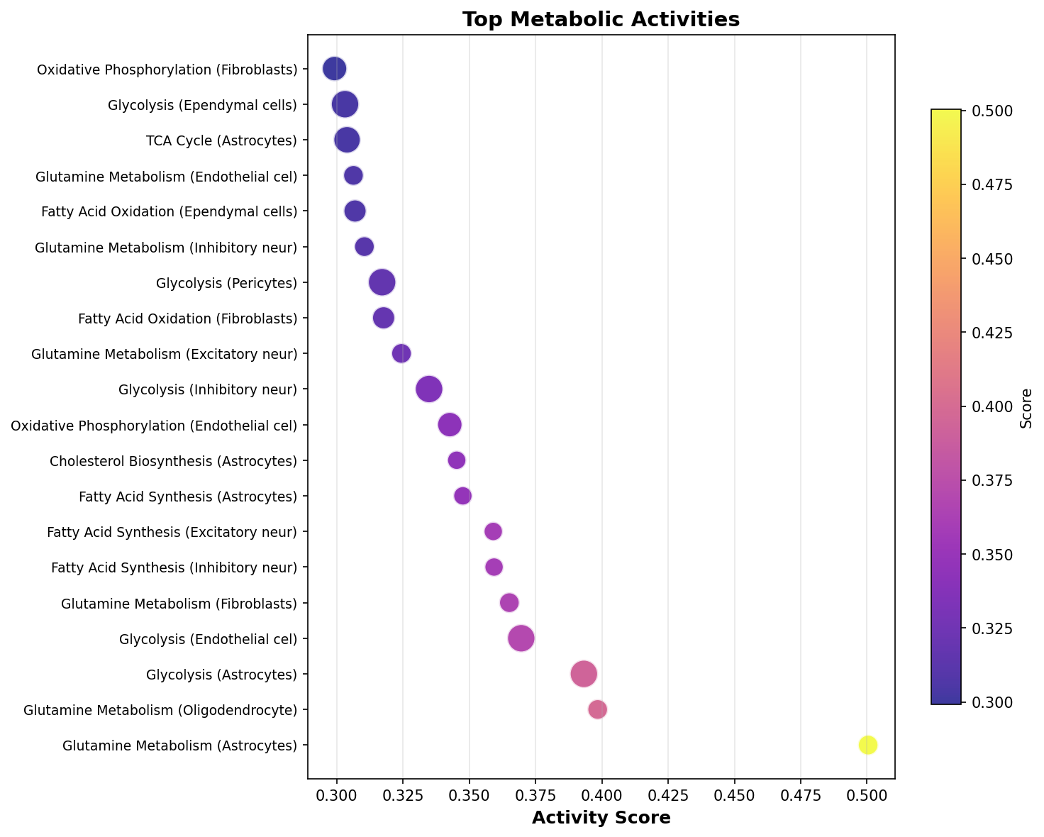 Top Metabolic Activities