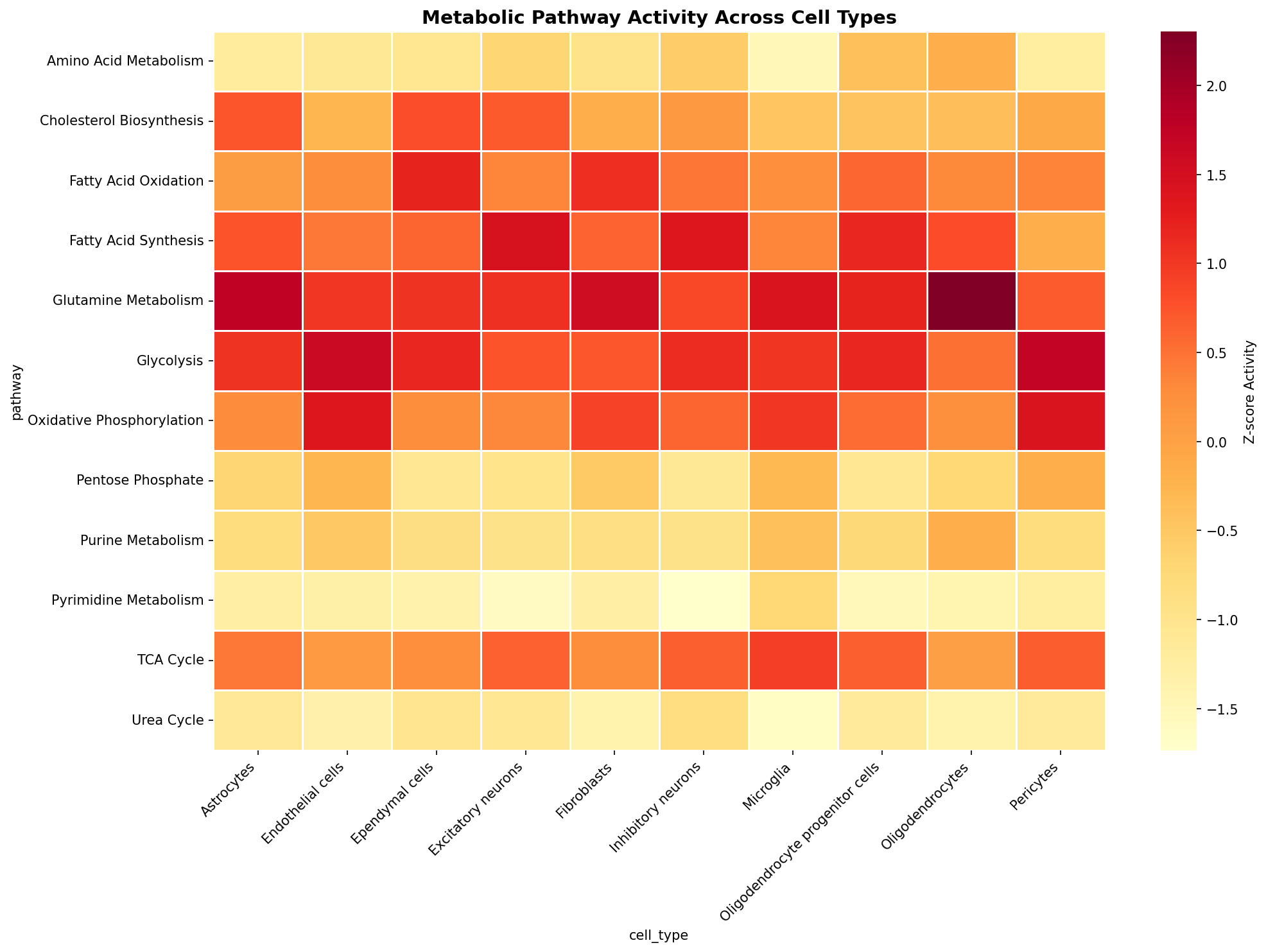 Metabolic Pathway Heatmap