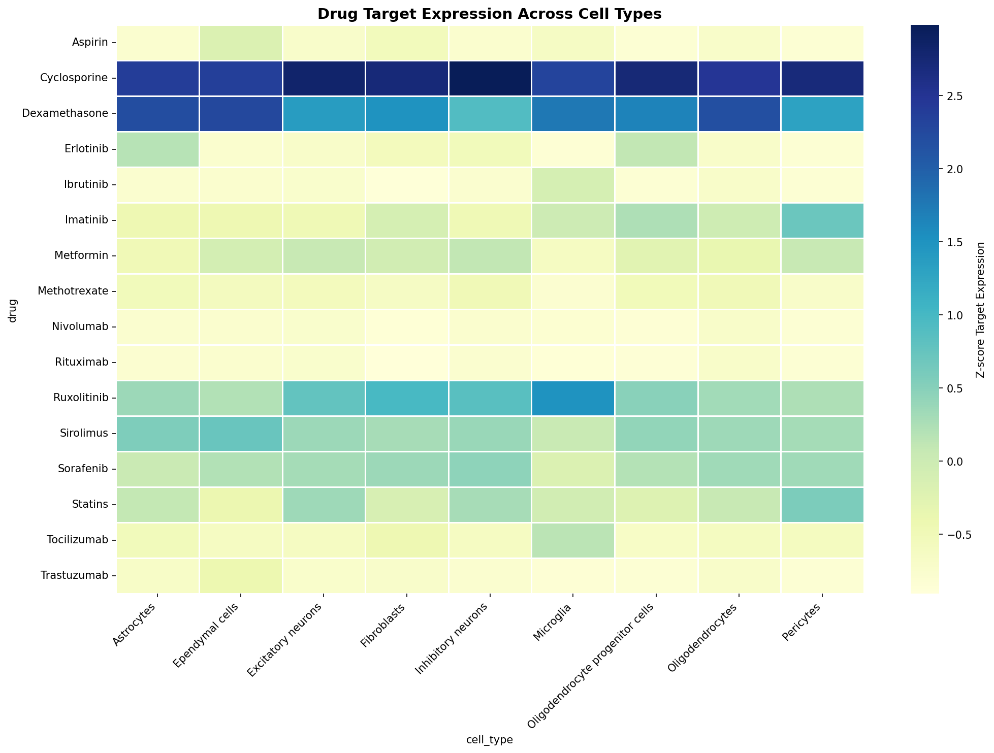 Drug Target Expression Heatmap