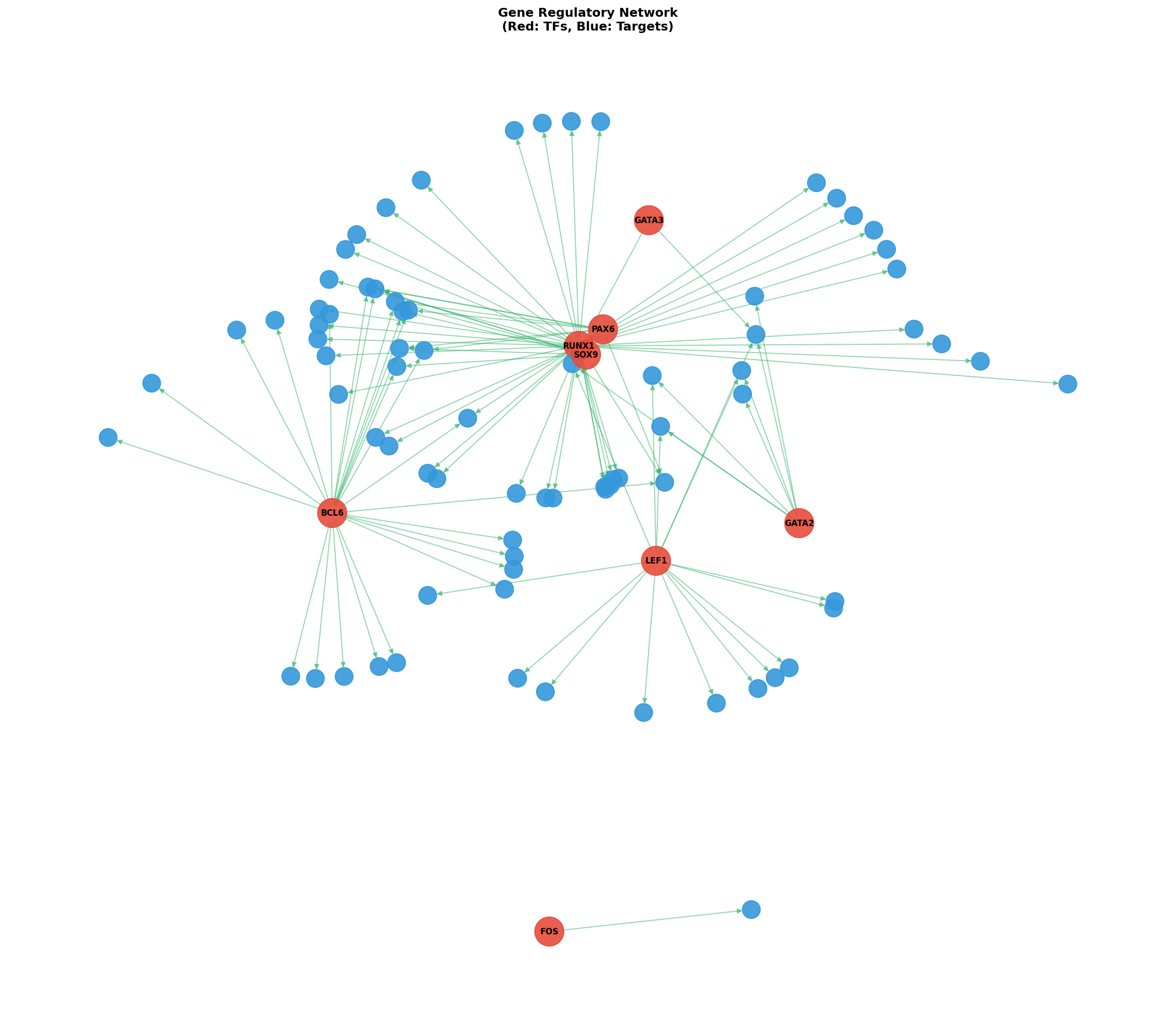 Exploratory TF-Target Association Network
