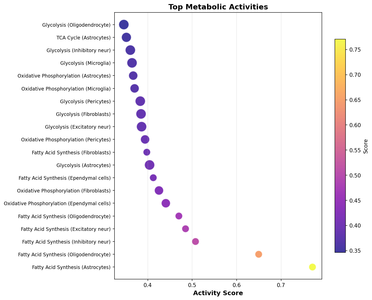 Top Metabolic Activities