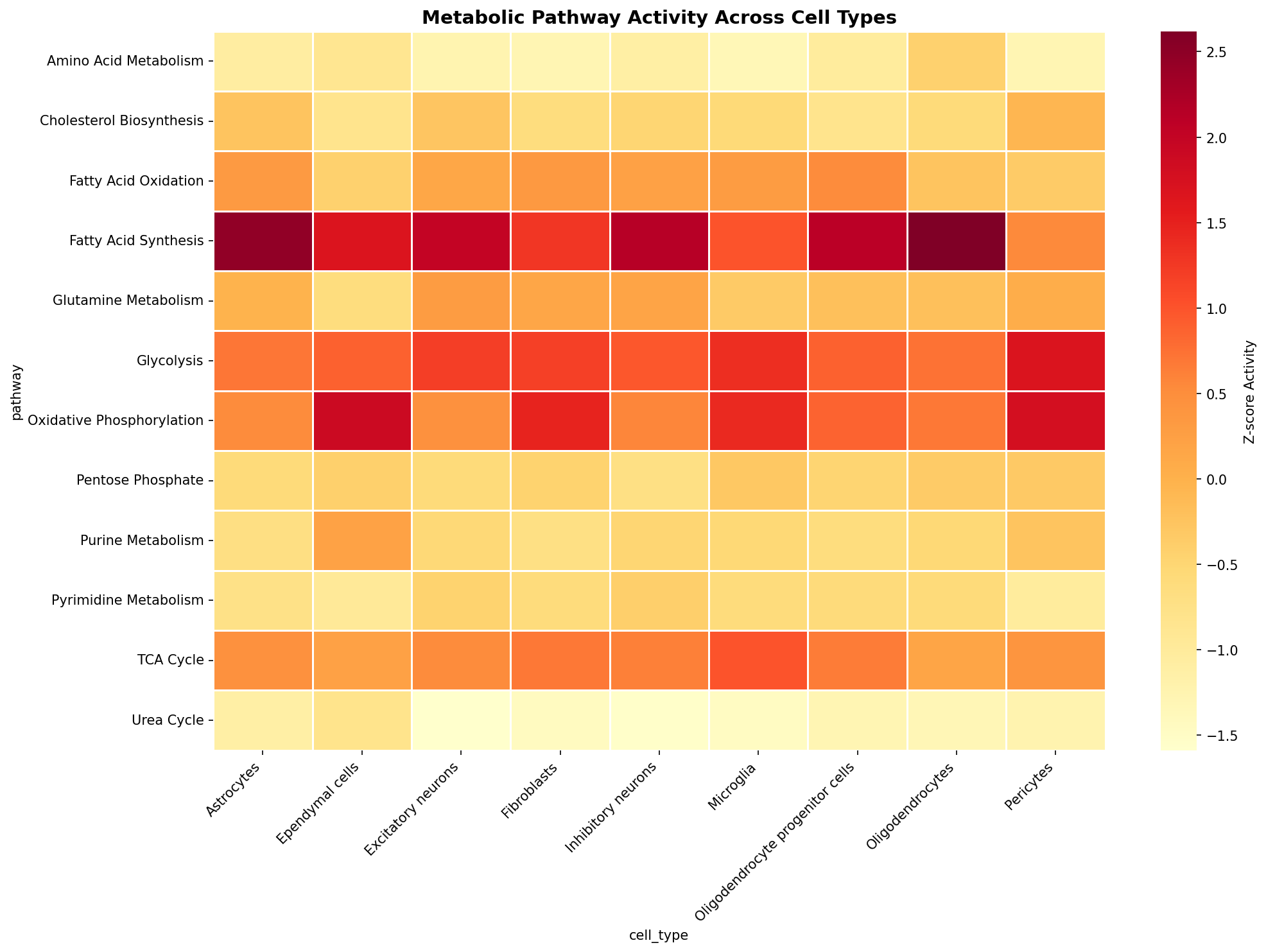 Metabolic Pathway Heatmap