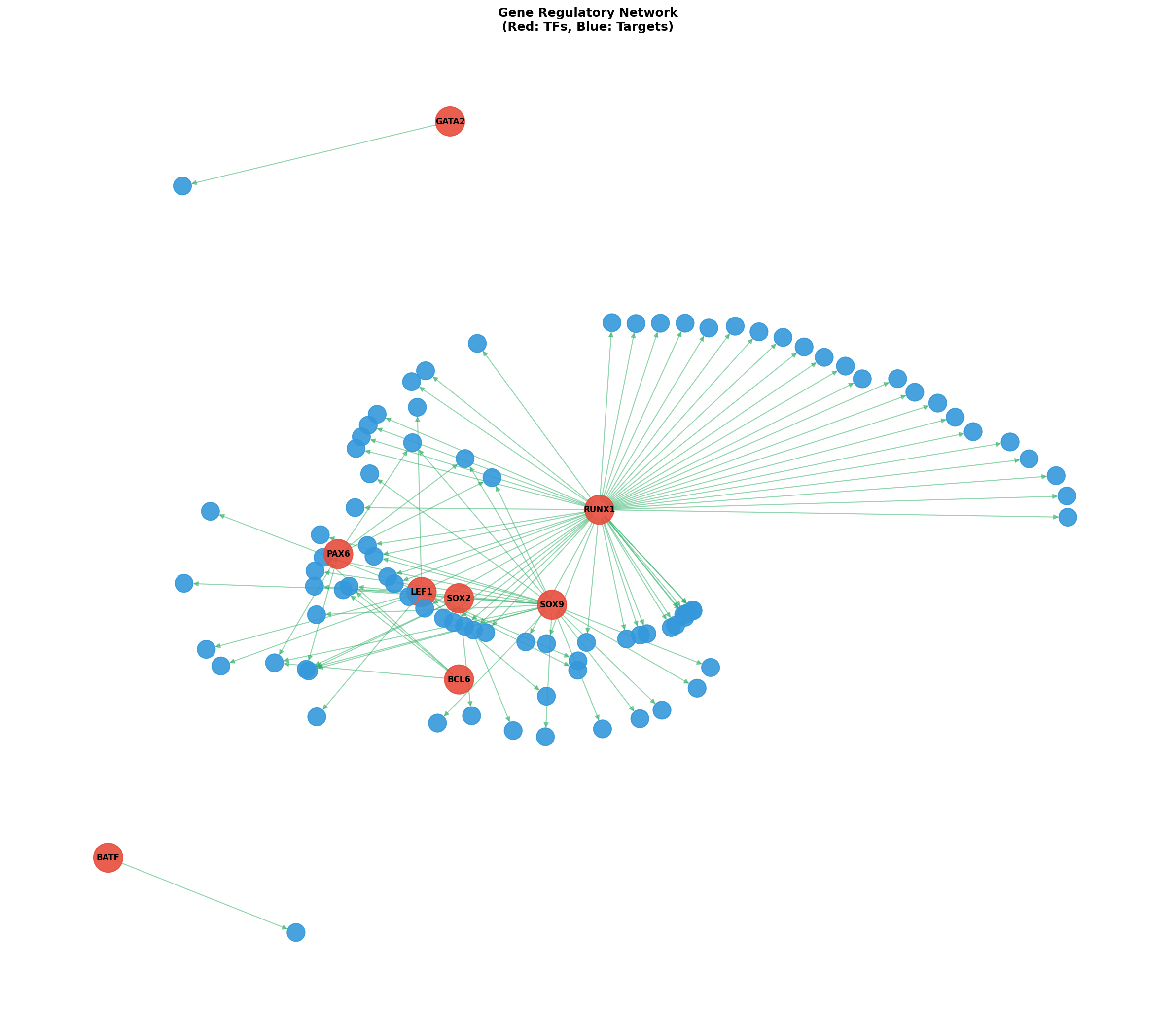 Exploratory TF-Target Association Network