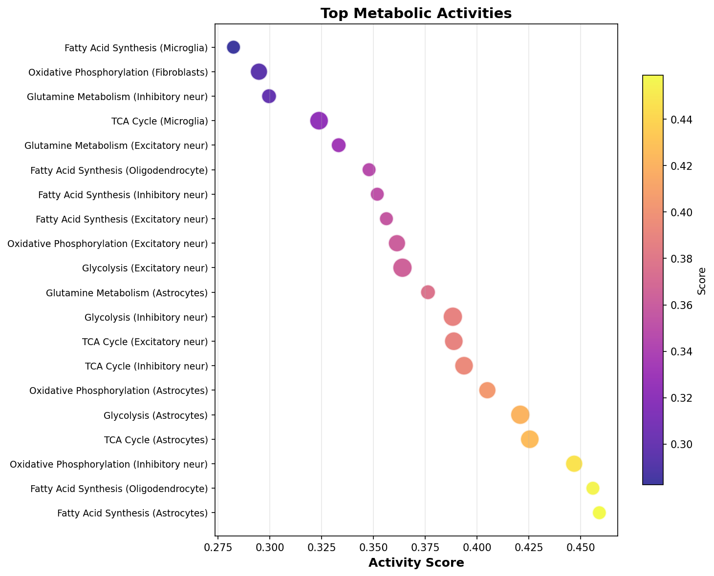 Top Metabolic Activities