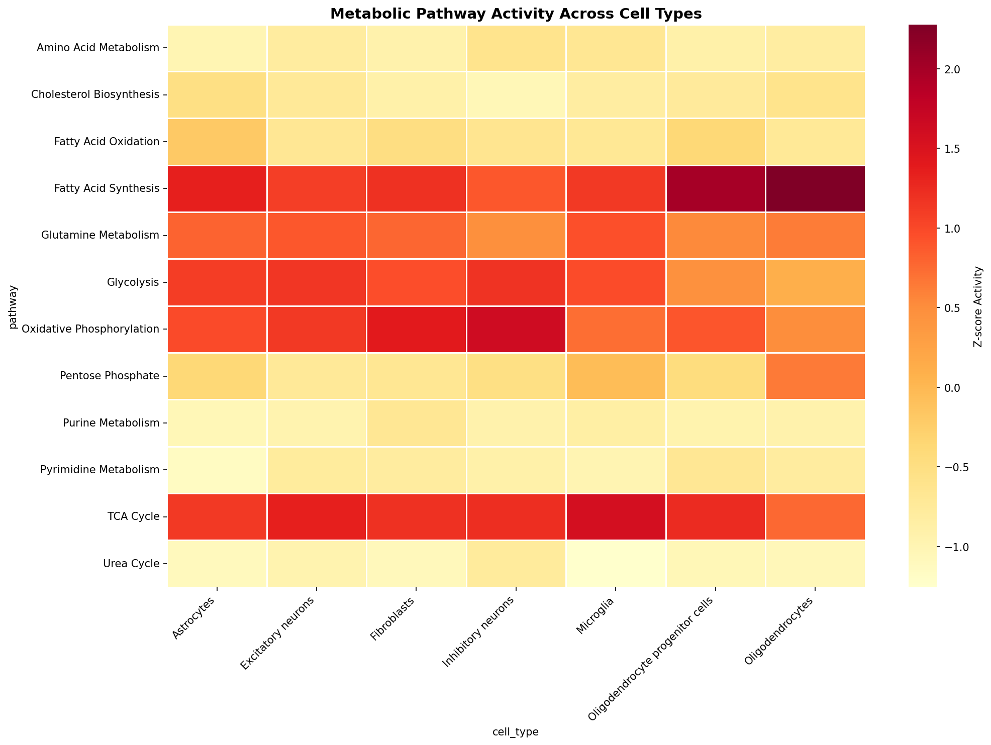 Metabolic Pathway Heatmap